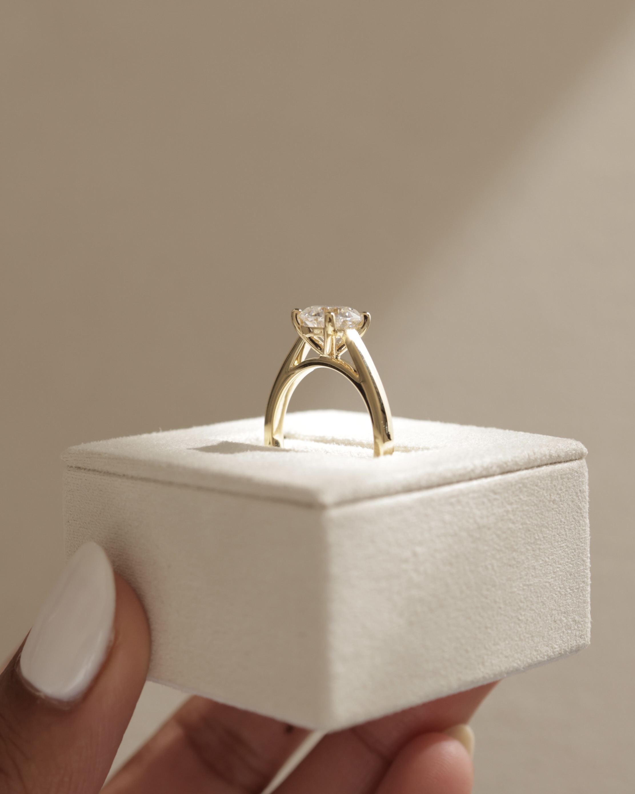 Georgia  4 Claw Cathedral Round Solitaire Lifestyle Image