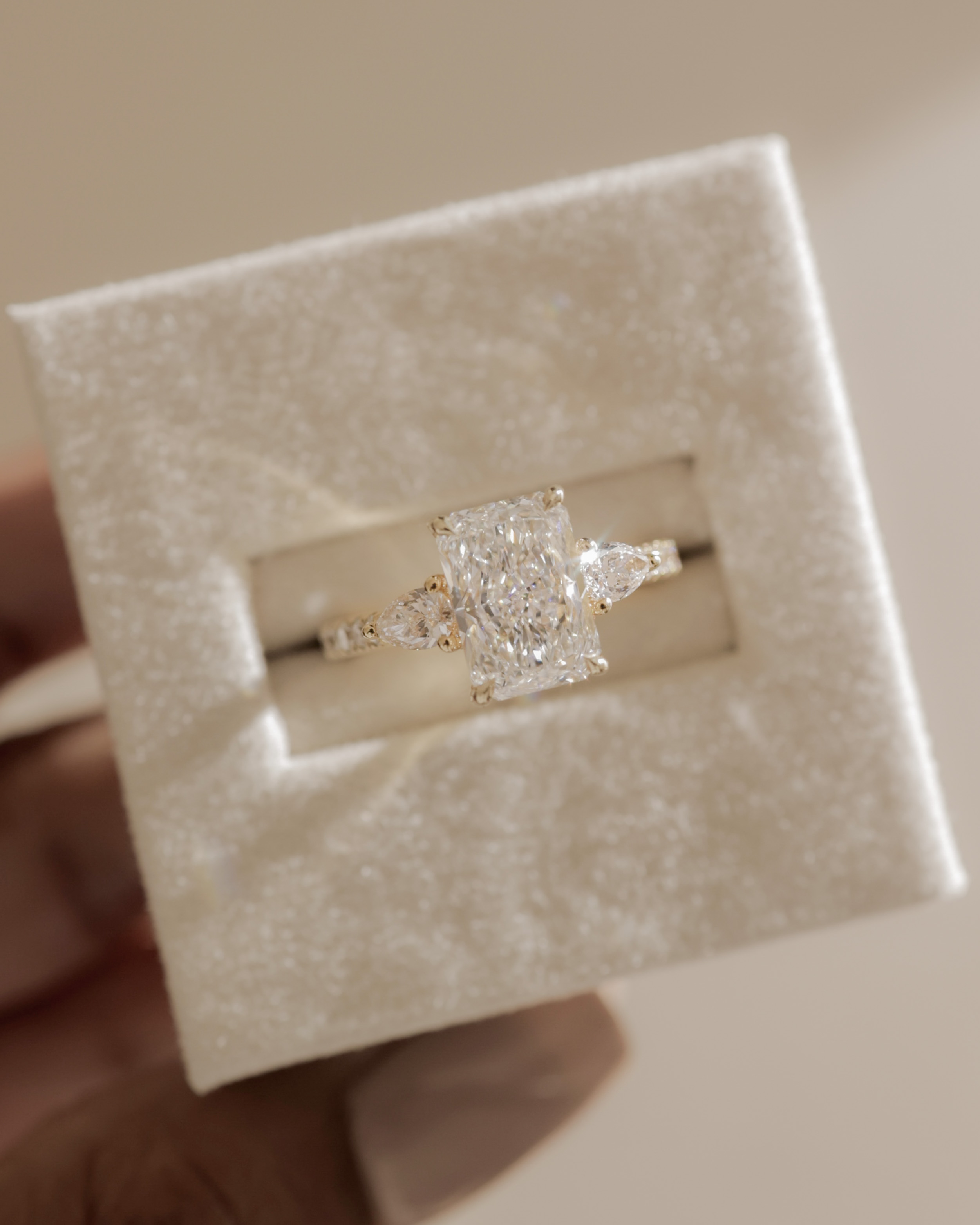 Ginny - Radiant Trilogy with Pav Lifestyle Image