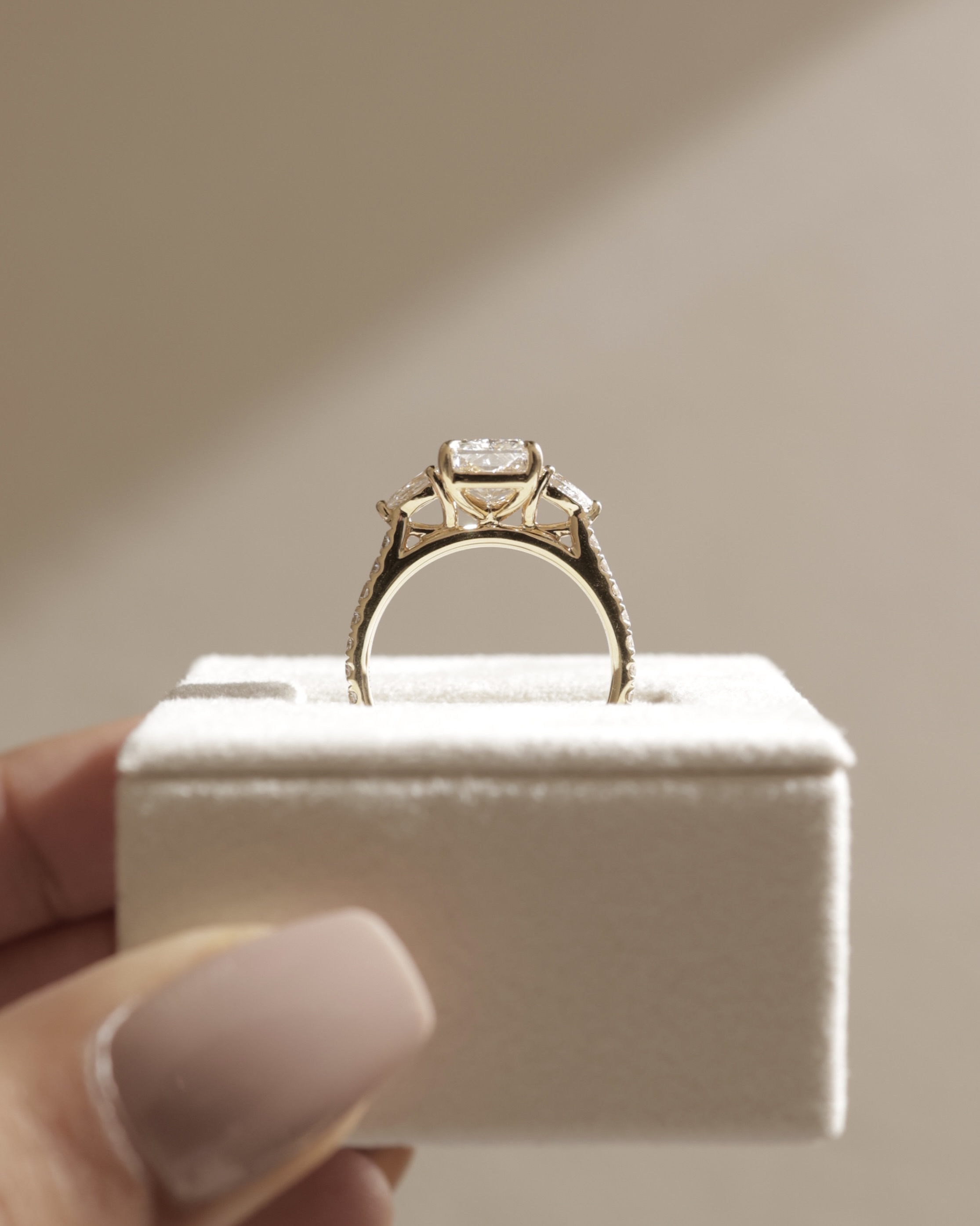 Ginny - Radiant Trilogy with Pav Lifestyle Image