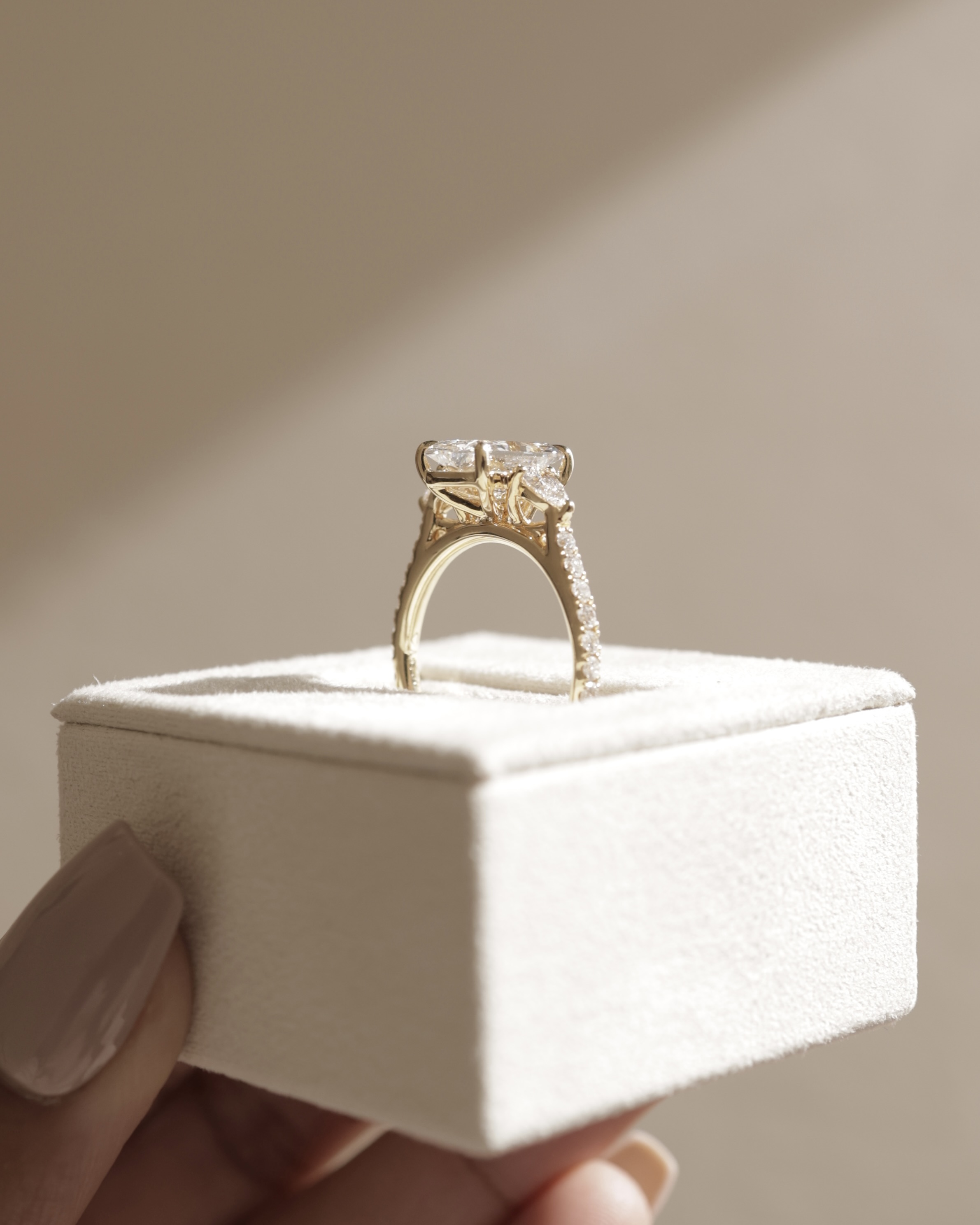 Ginny - Radiant Trilogy with Pav Lifestyle Image