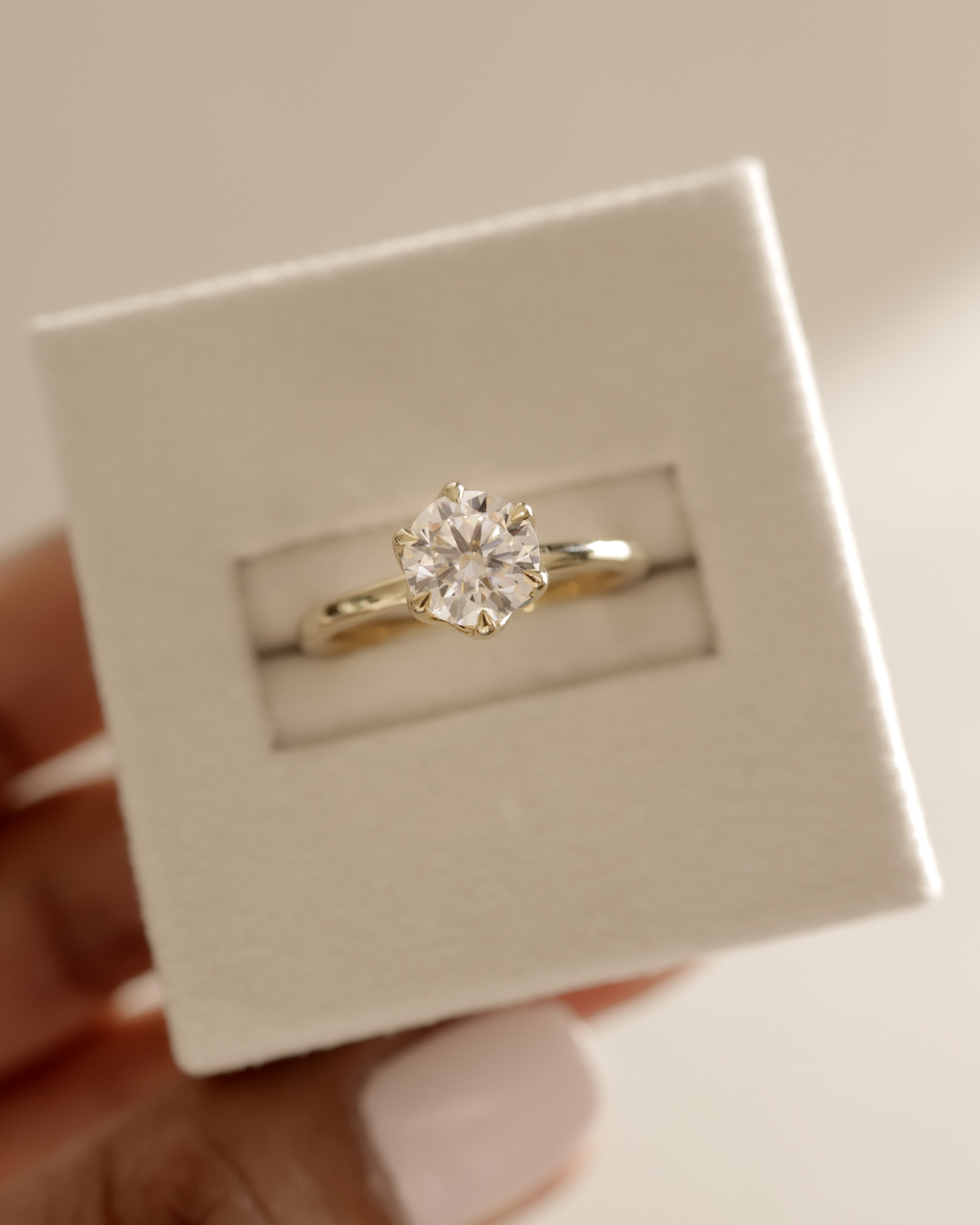 Iris  6 Claw Round Solitaire Lifestyle Image