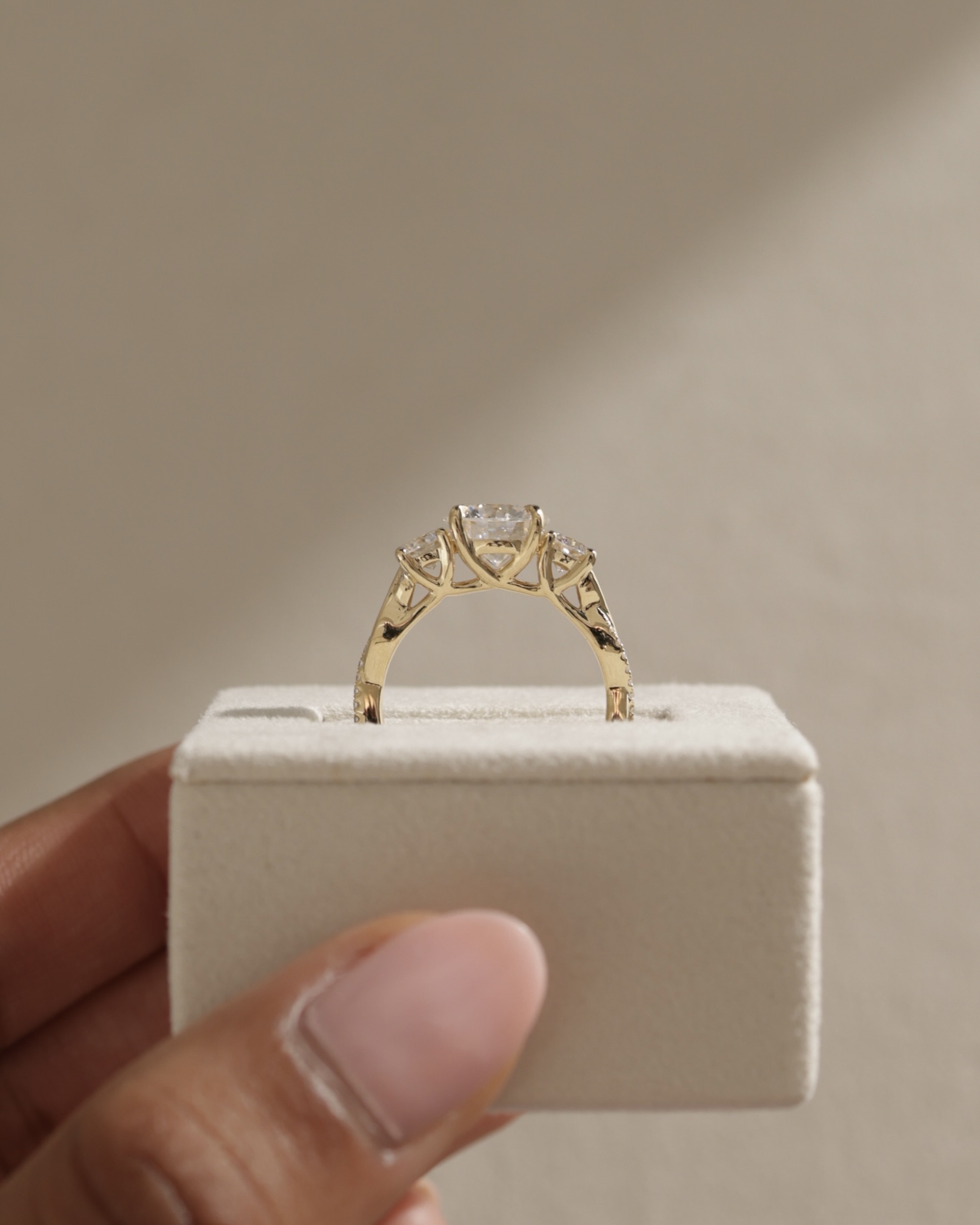 Jaylene - Round Trilogy with Twisted Band Lifestyle Image