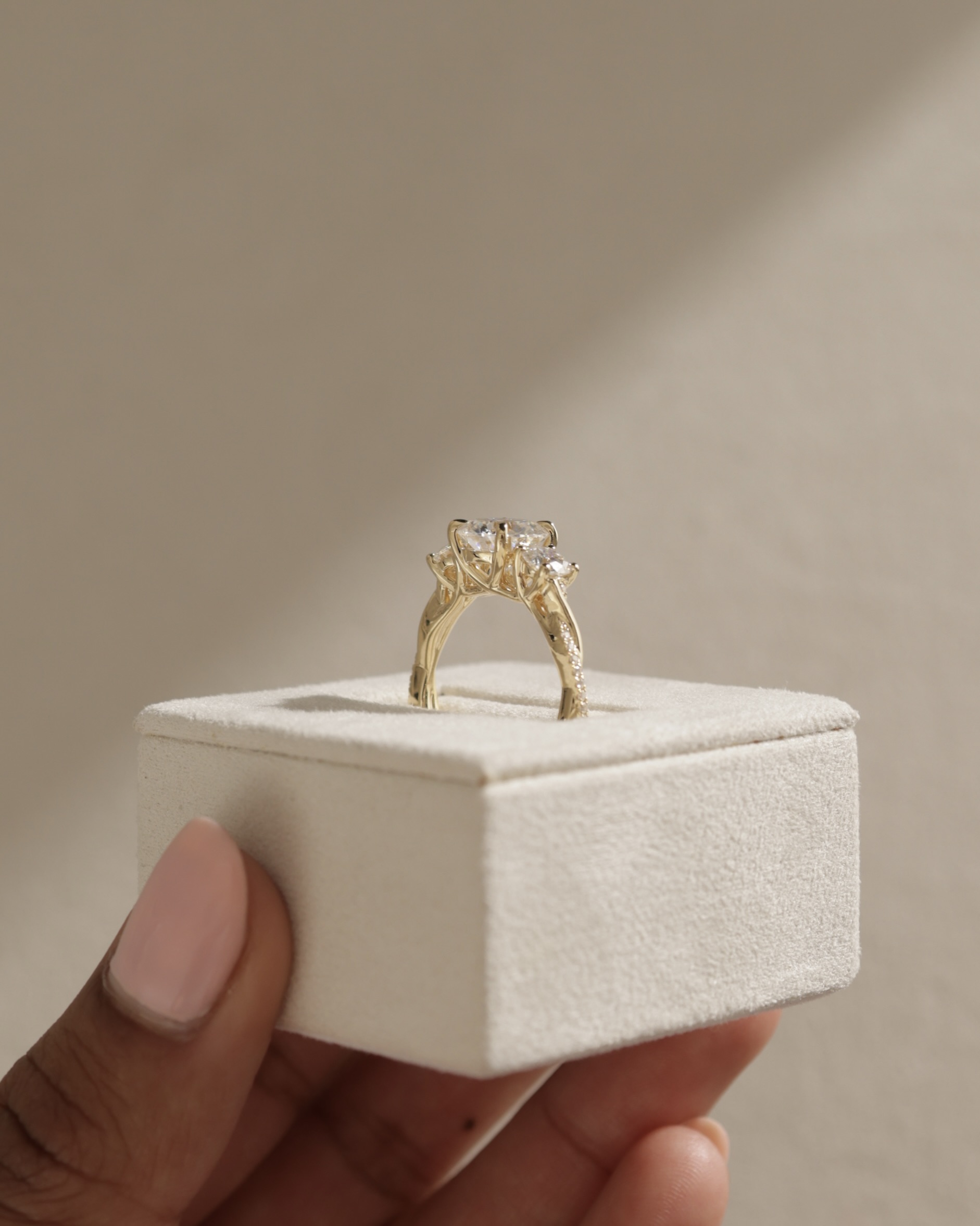 Jaylene - Round Trilogy with Twisted Band Lifestyle Image