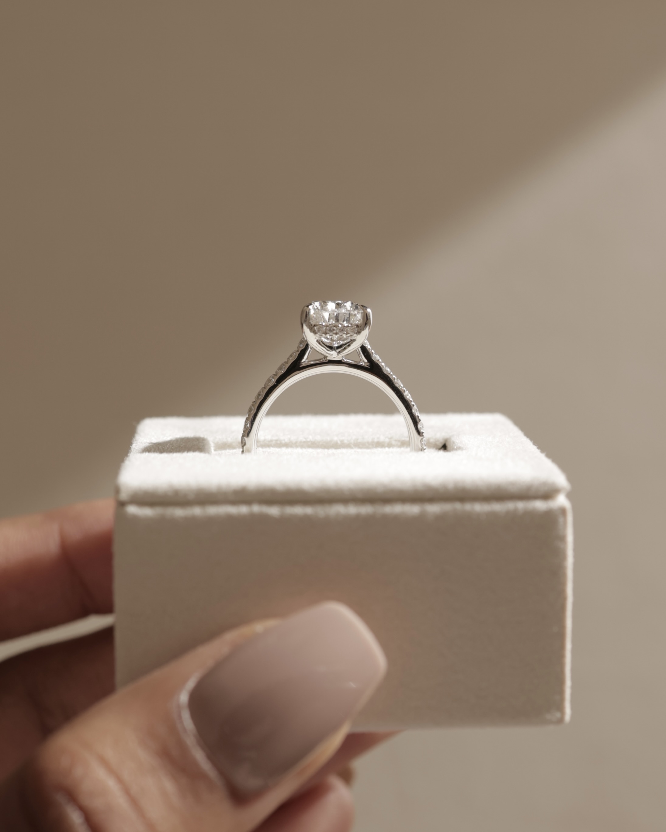 Katrina - 5 Claw Pear Pav with Hidden Halo Lifestyle Image