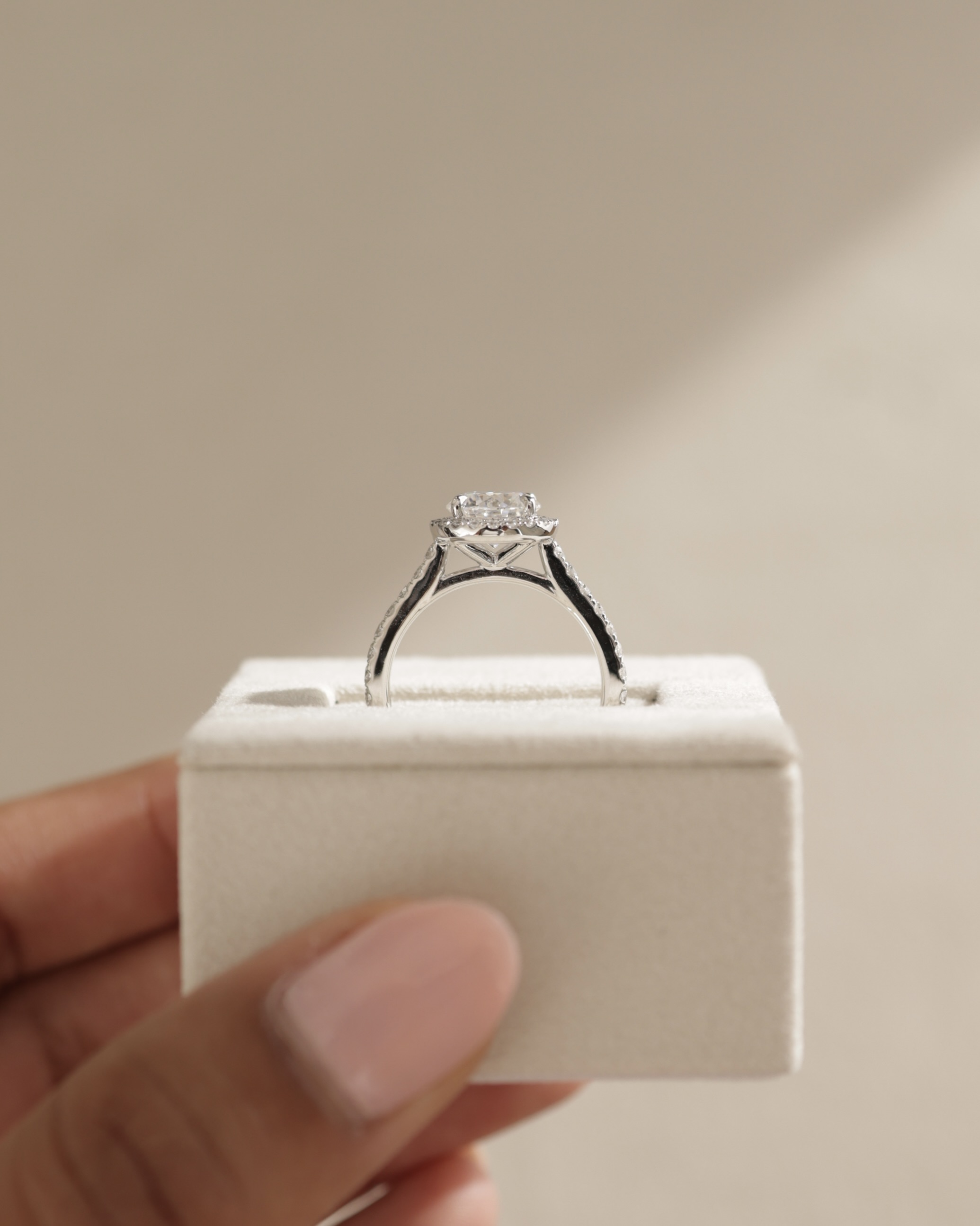 Leah   Cathedral Round Halo with Pav Lifestyle Image