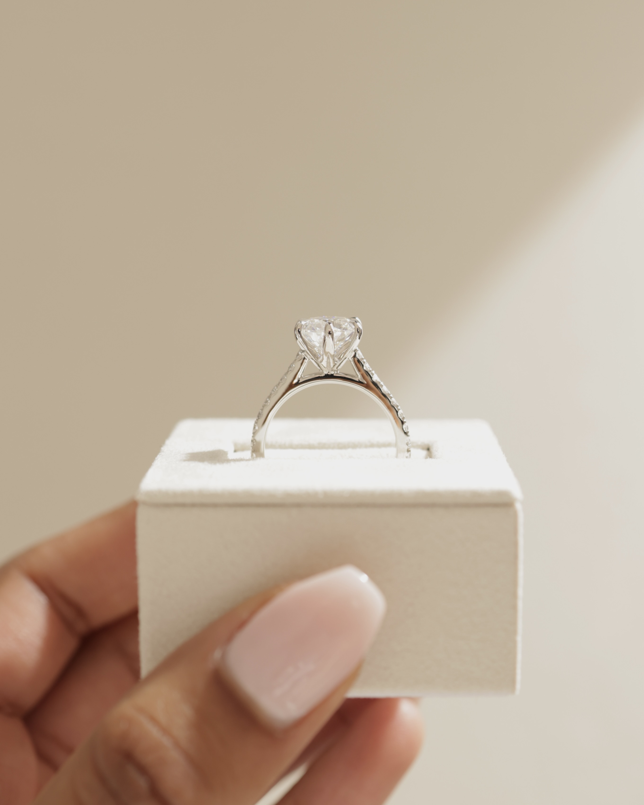 Maisy - 6 Claw Cathedral Round Solitaire with French Pav Lifestyle Image