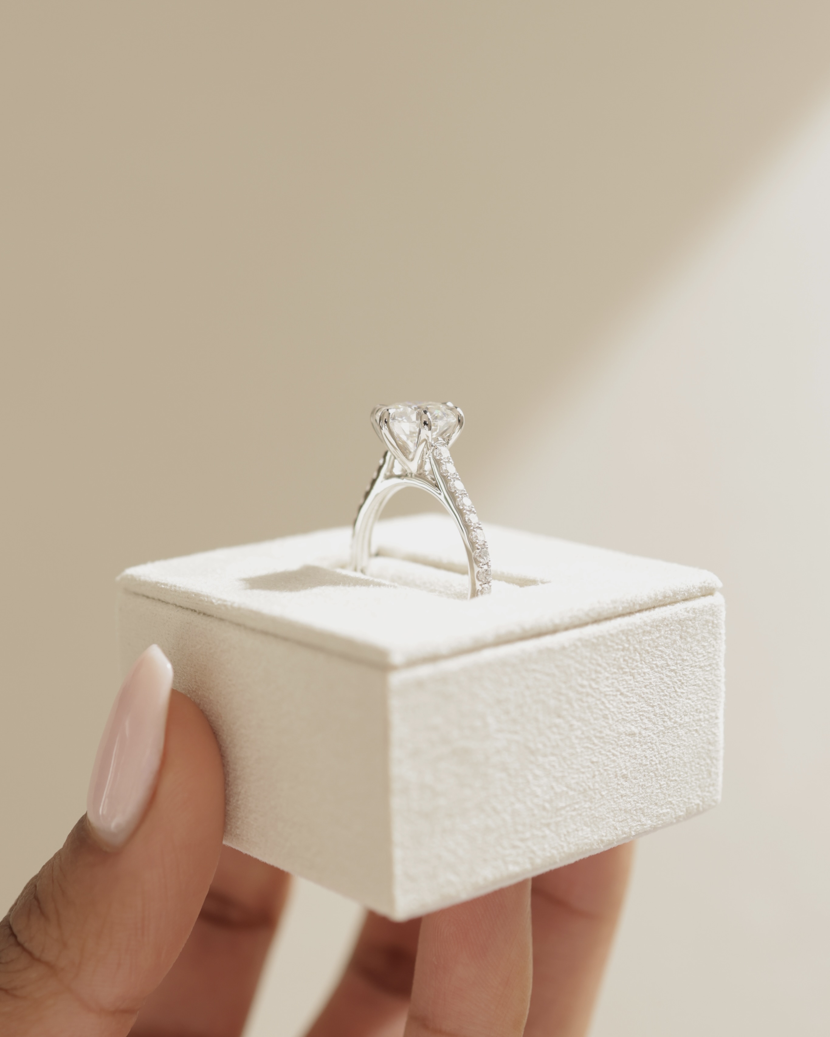 Maisy - 6 Claw Cathedral Round Solitaire with French Pav Lifestyle Image