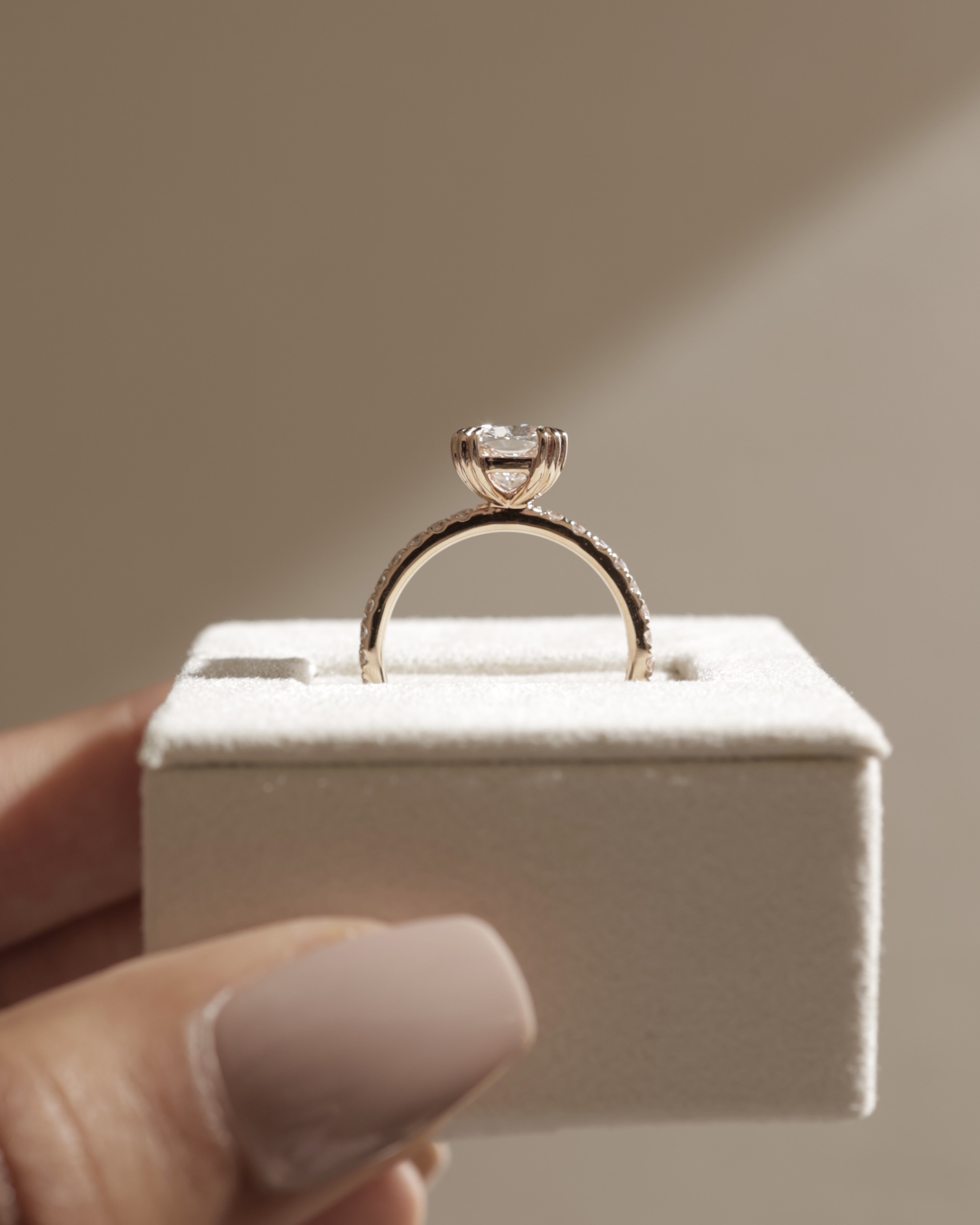 Mandy - Elongated Cushion with Triple Eagle Tip Claws and Pav Band Lifestyle Image