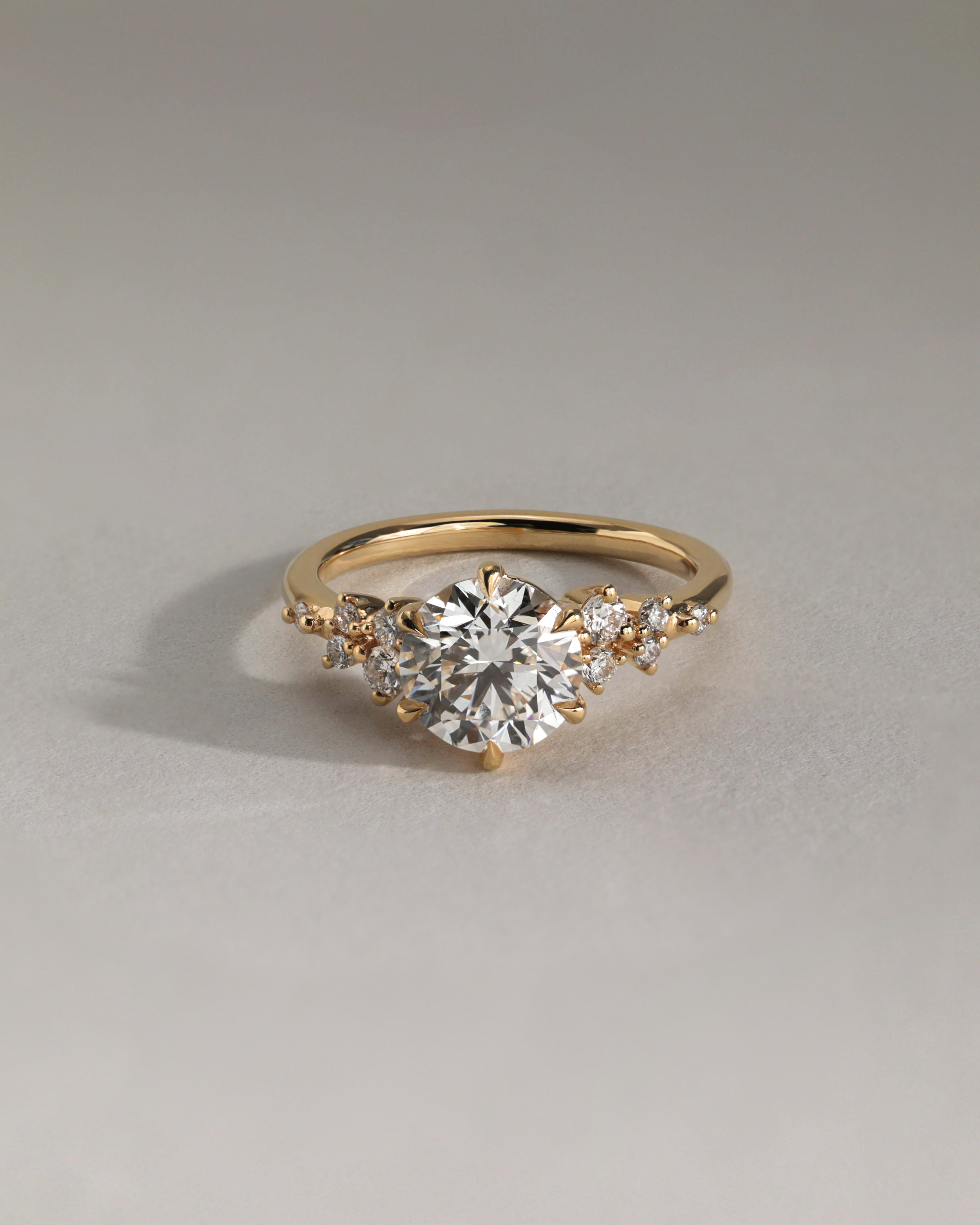 Molly - 6 Claw Round Solitaire with Accent Stones Lifestyle Image