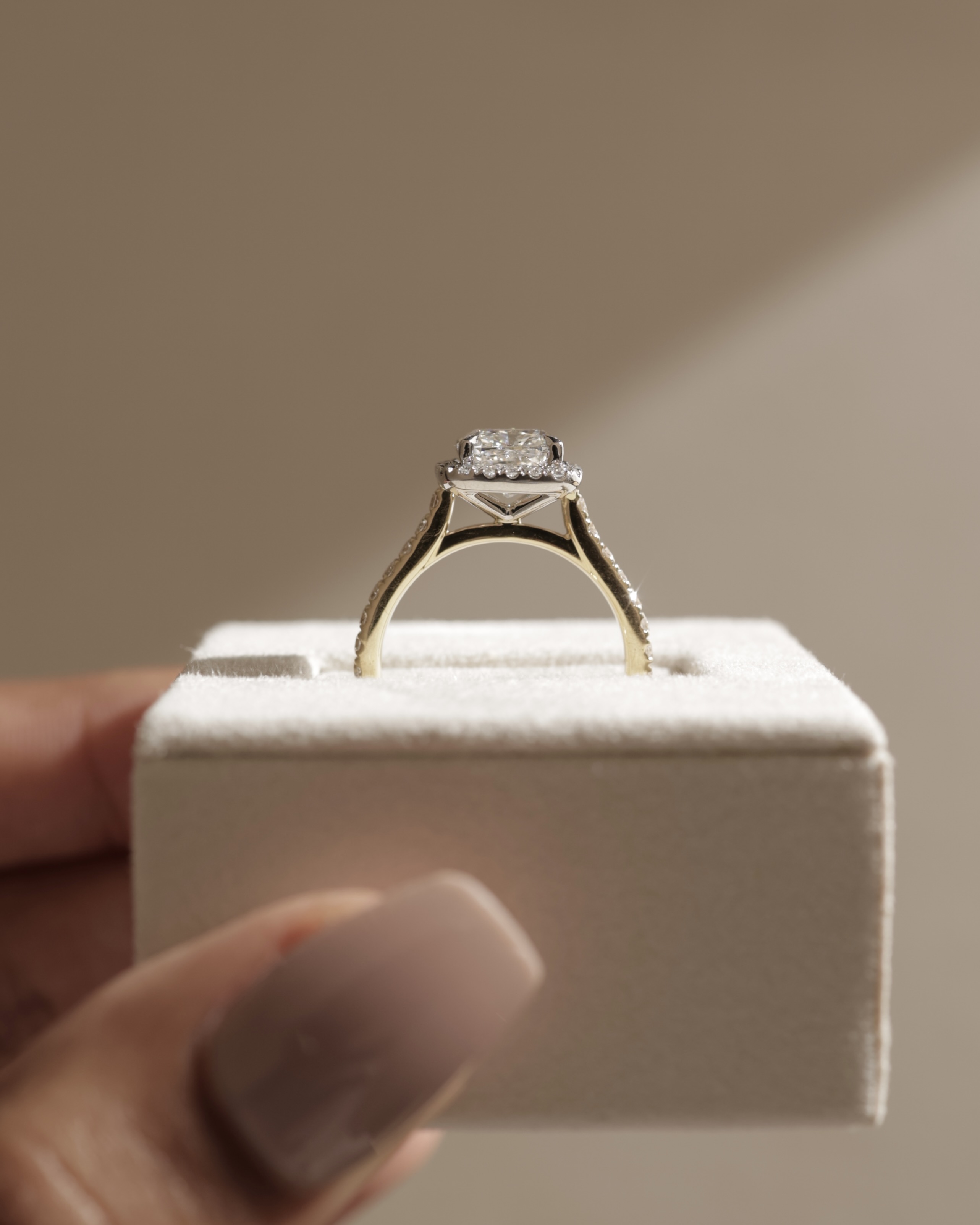 Nicole - 4 Claw Cushion Cut Halo with Pav Lifestyle Image