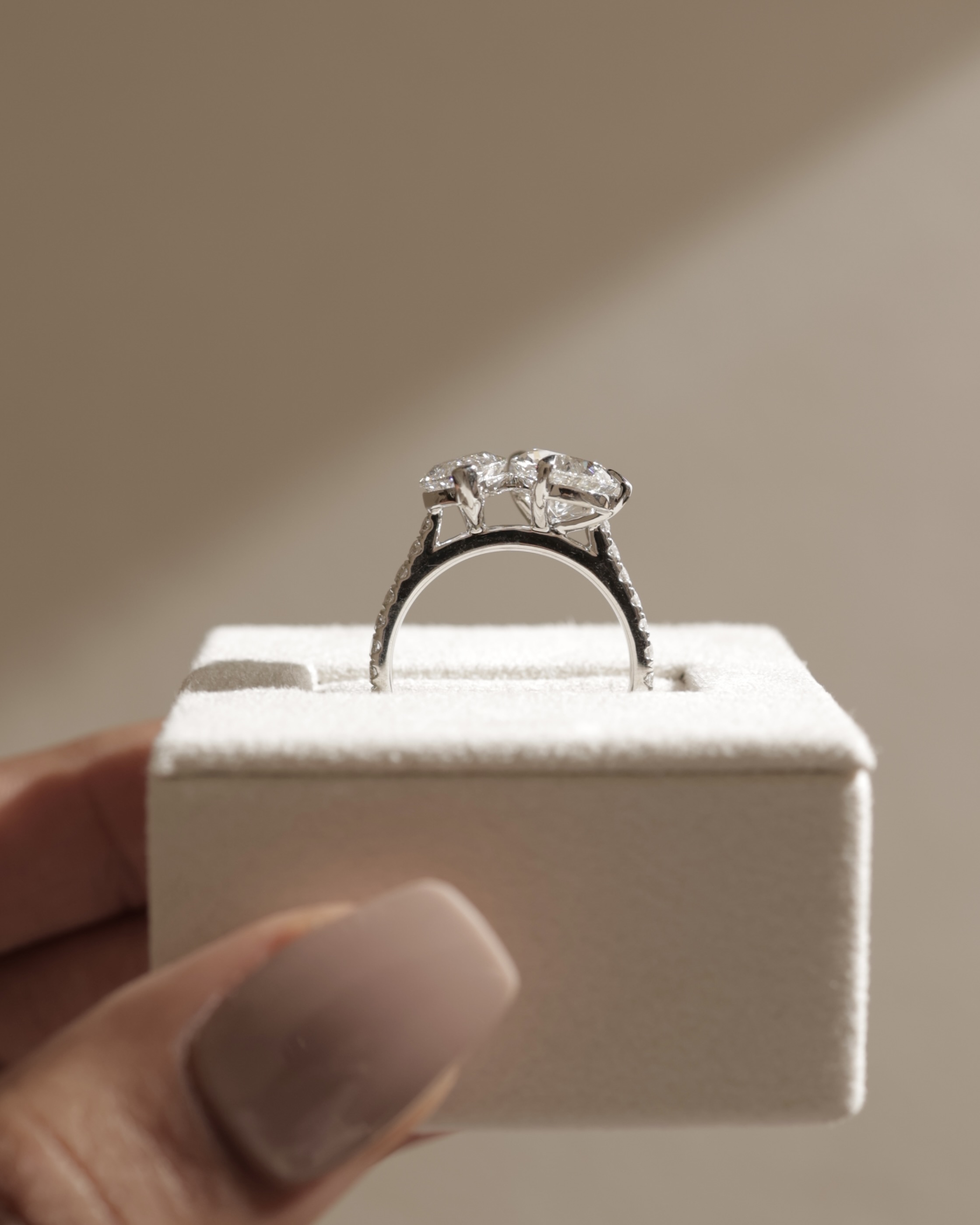 Noa - 5 Claw Toi Et Moi Lifestyle Image