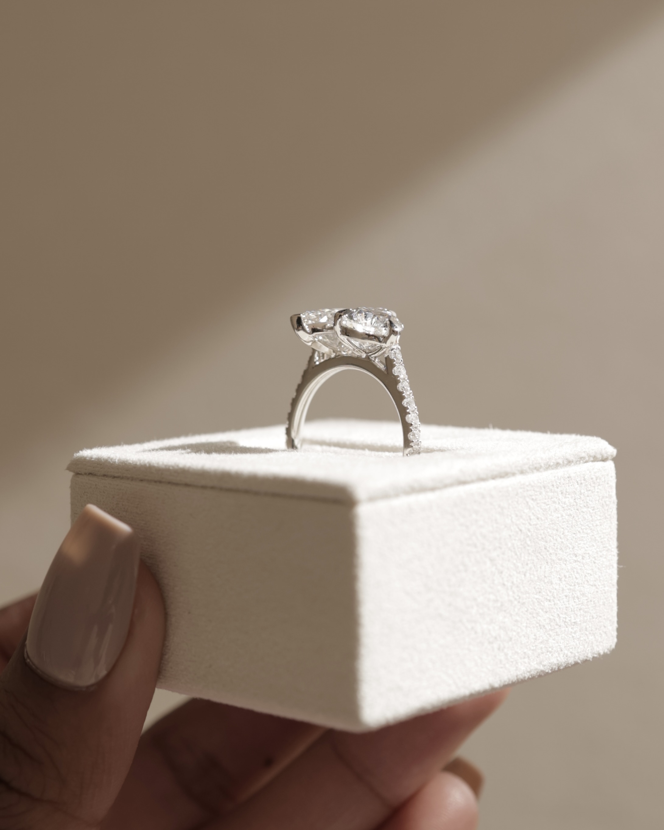 Noa - 5 Claw Toi Et Moi Lifestyle Image