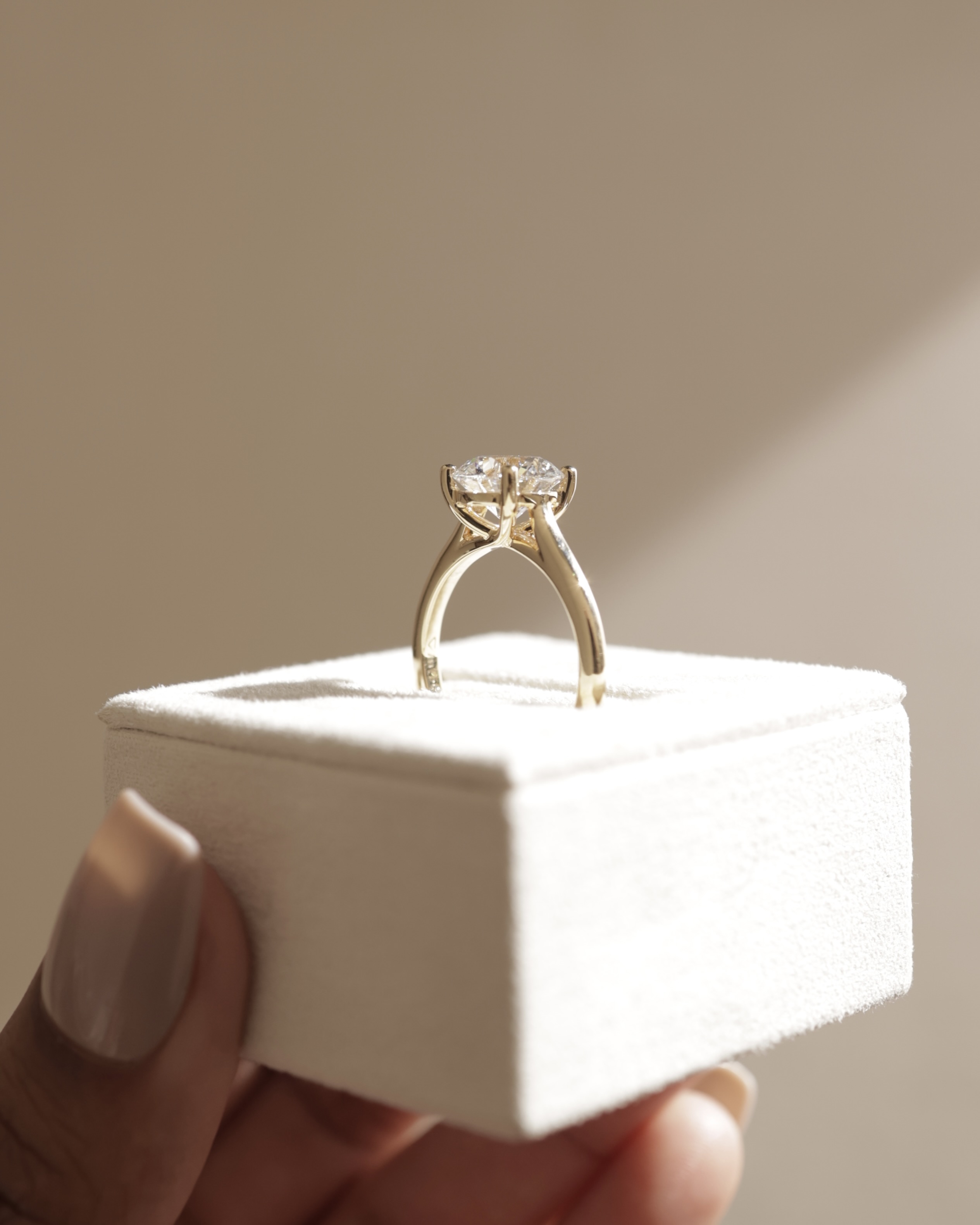 Noelle - 4 Claw Cathedral Round Solitaire Lifestyle Image