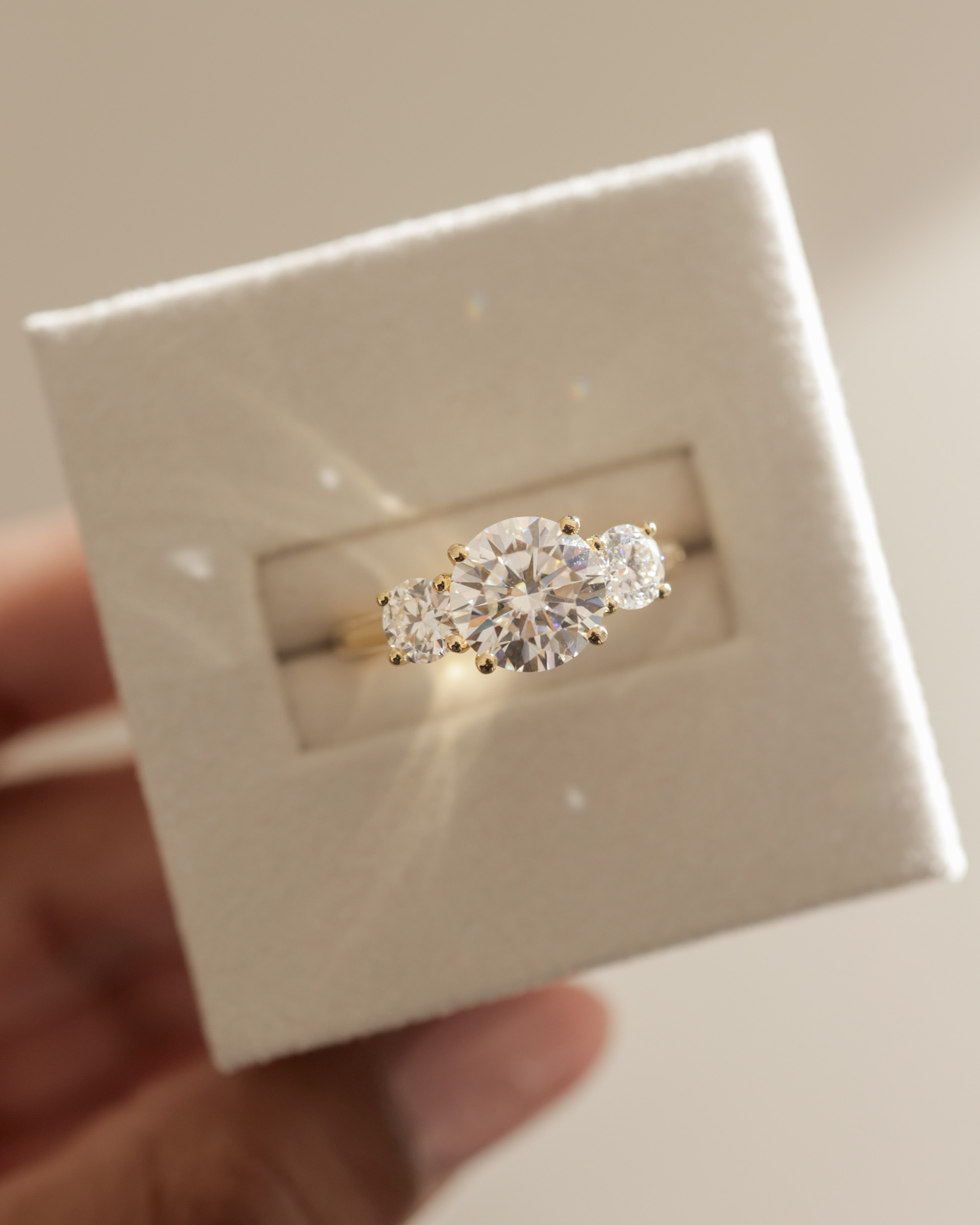 Octavia - Trellis Round Trilogy Lifestyle Image