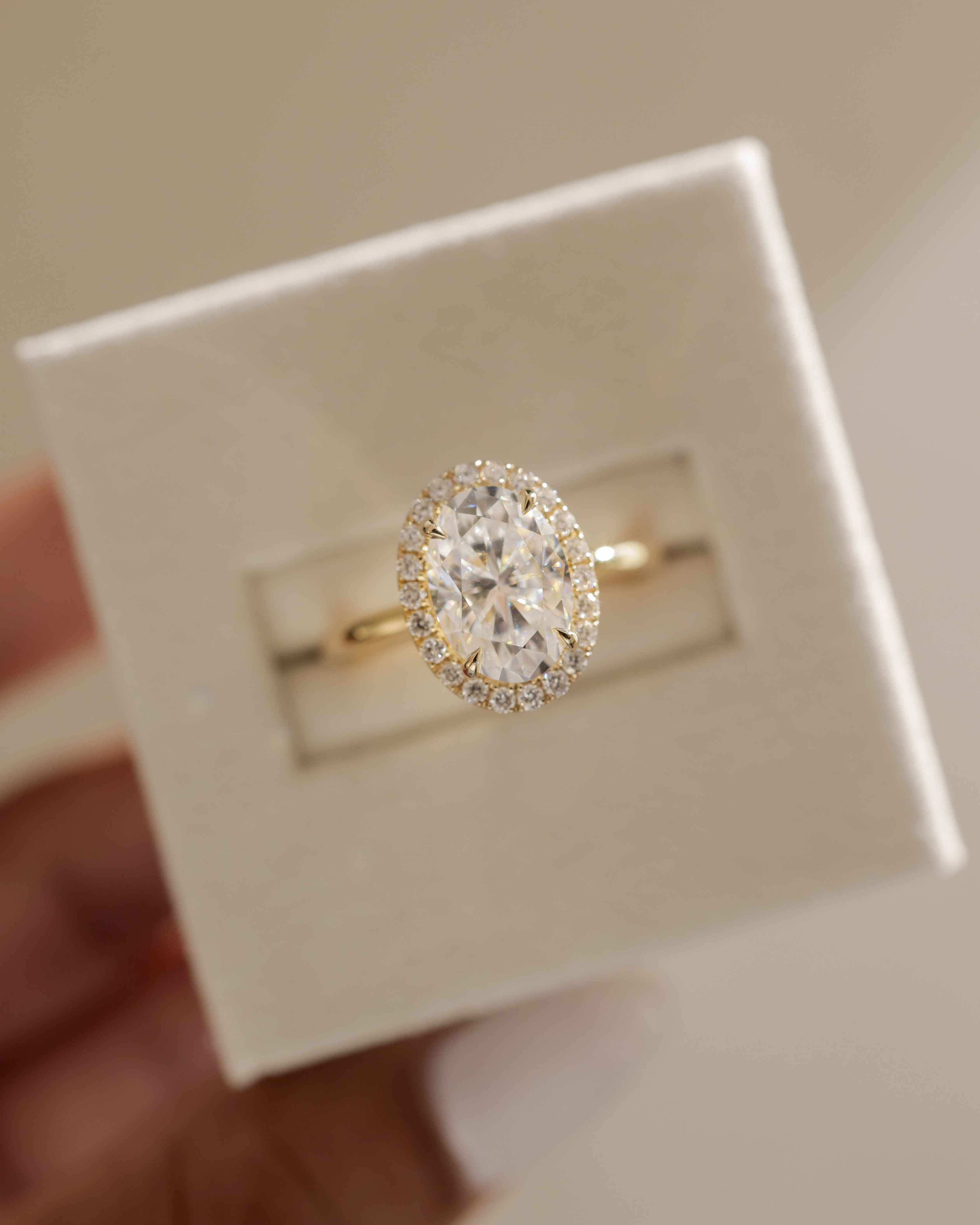 Phoebe  Oval Halo Lifestyle Image