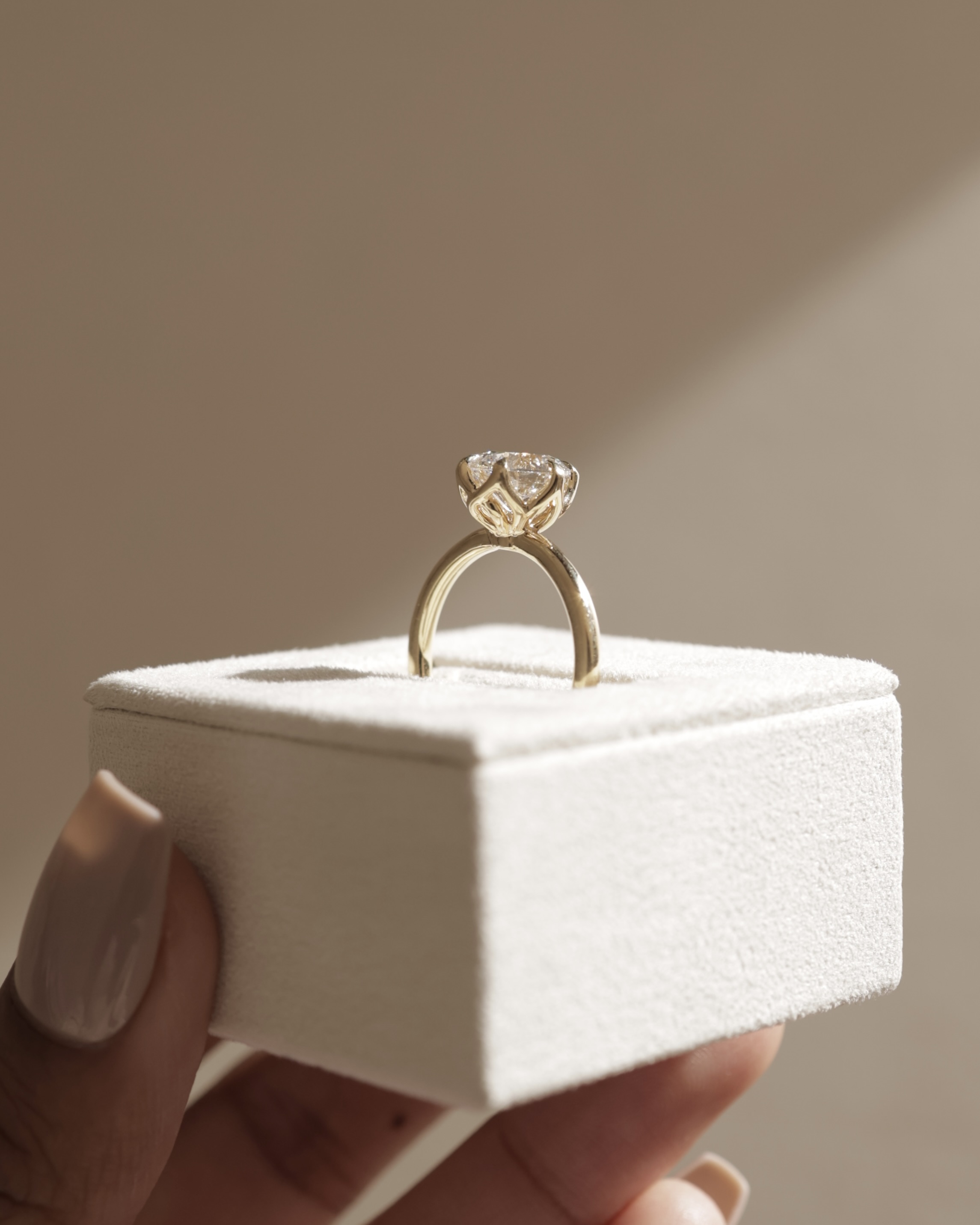 Rita  6 Claw Round Solitaire Lifestyle Image