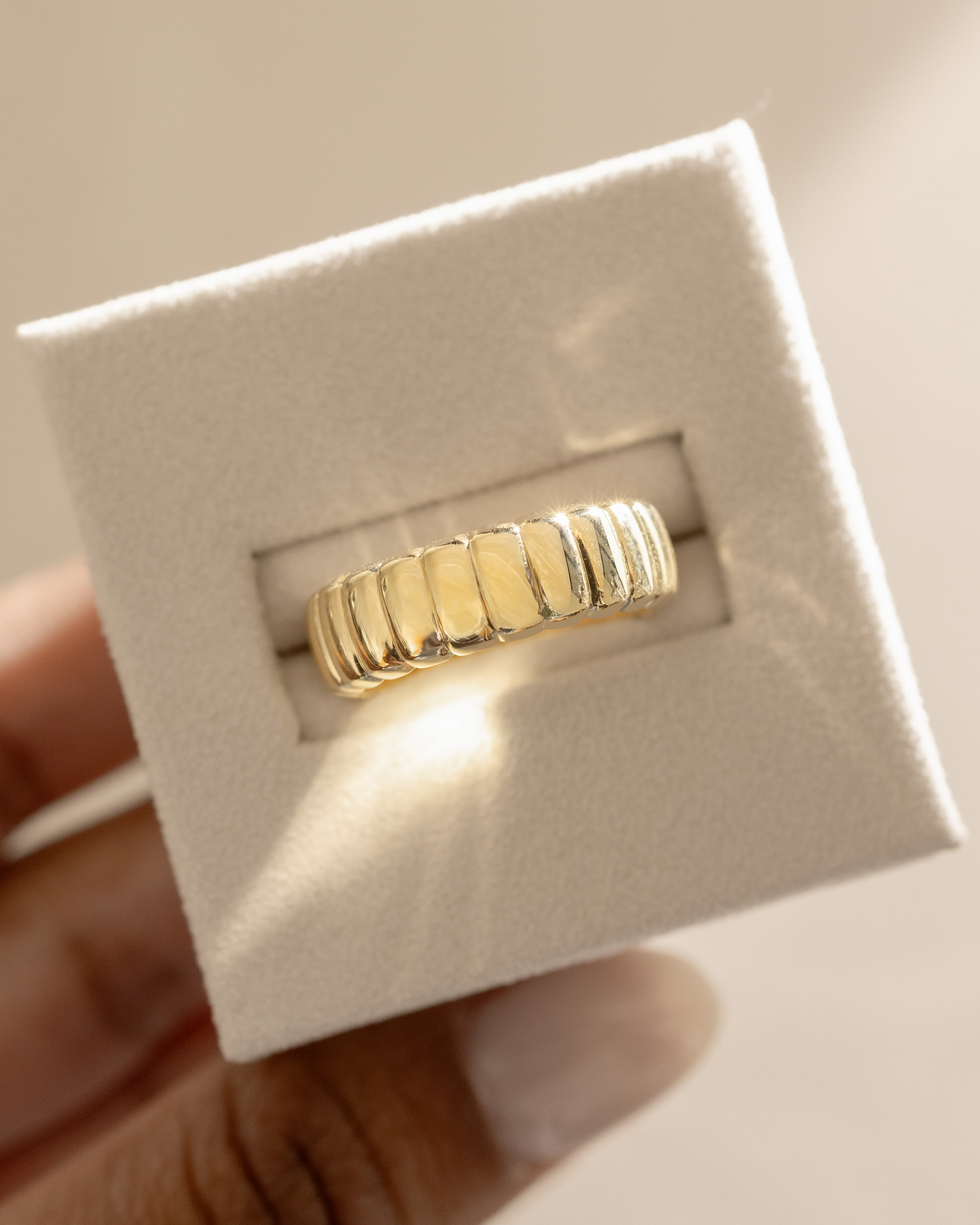 Rose - Fluted Cigar Ring Lifestyle Image