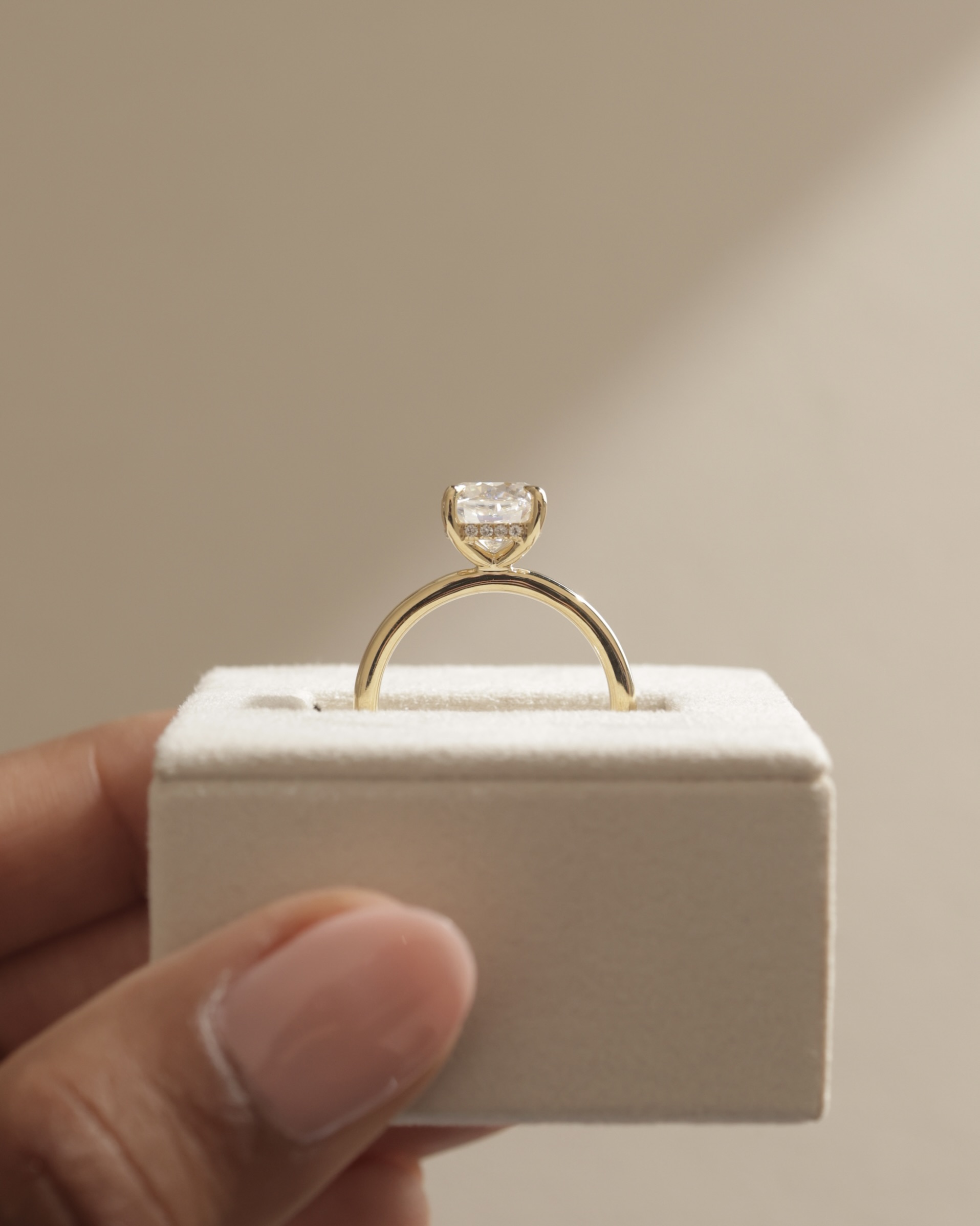 Rosie  4 Claw Cushion Solitaire Lifestyle Image