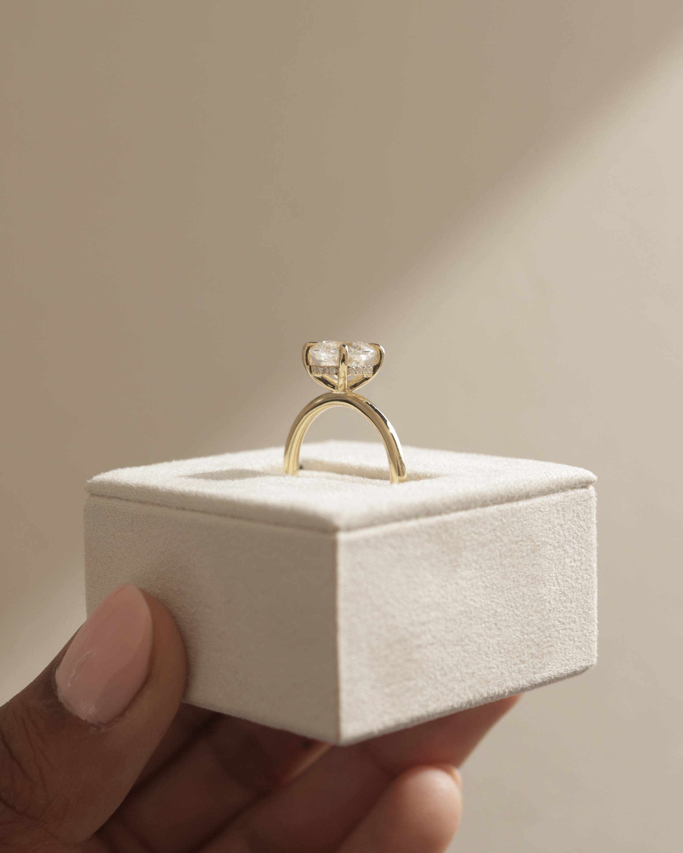 Rosie  4 Claw Cushion Solitaire Lifestyle Image