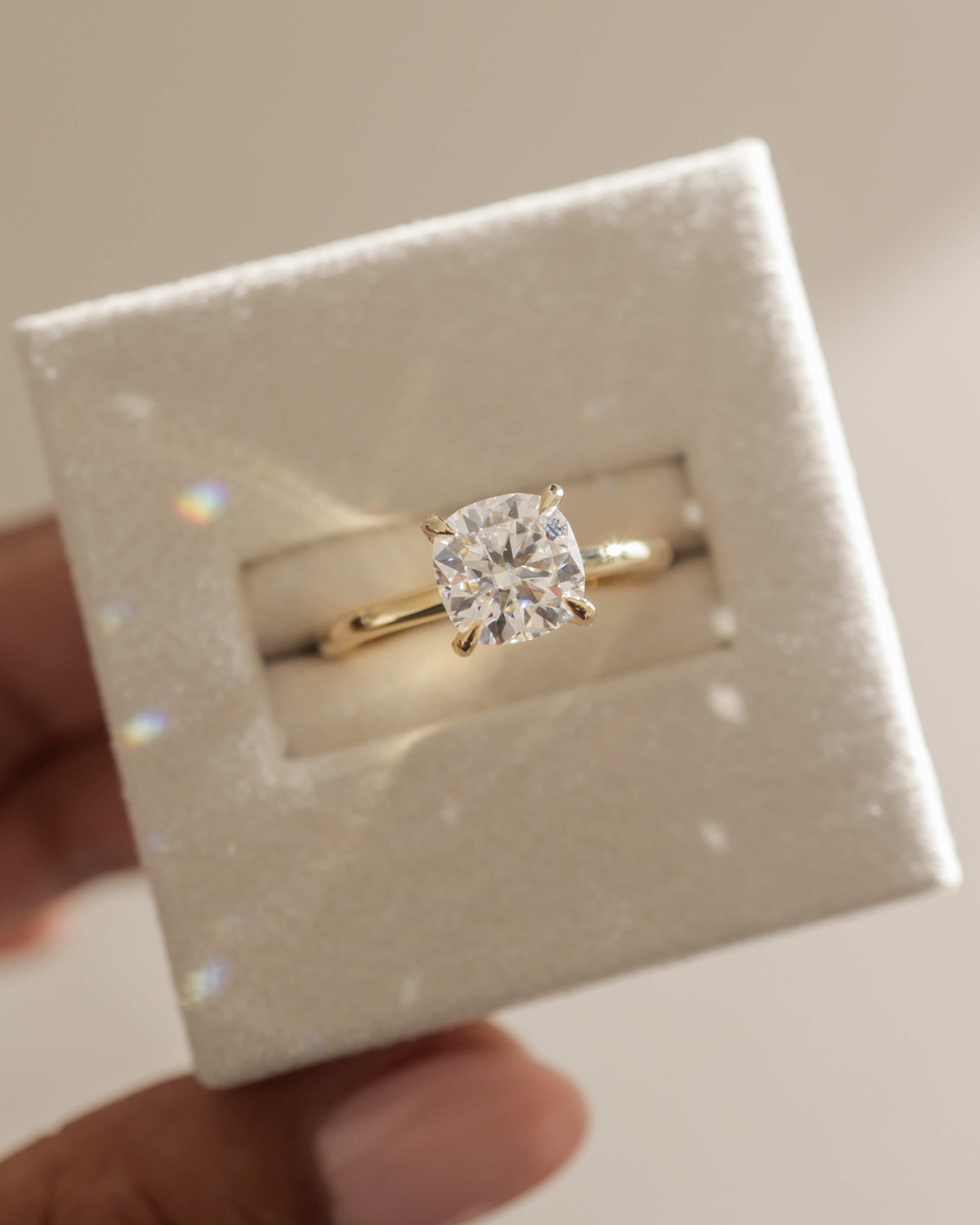 Rosie  4 Claw Cushion Solitaire Lifestyle Image