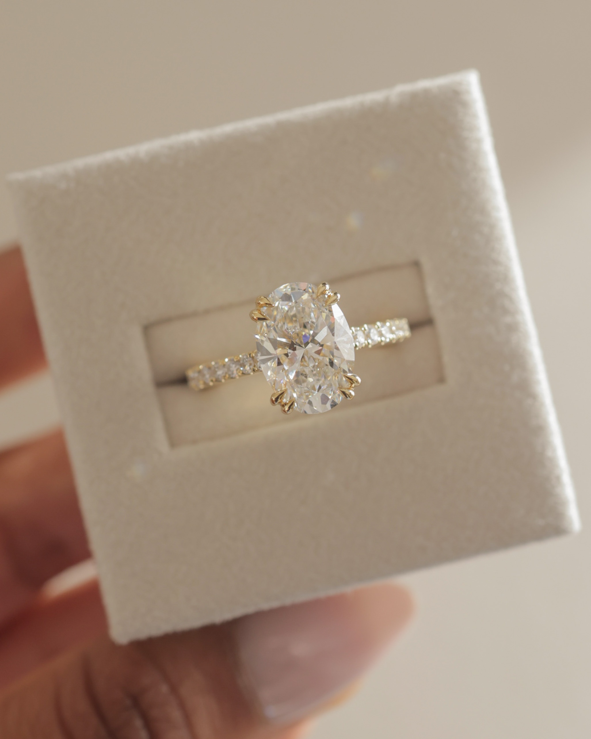 Sasha - Oval Solitaire with Double Tipped Claws and Pav Band Lifestyle Image