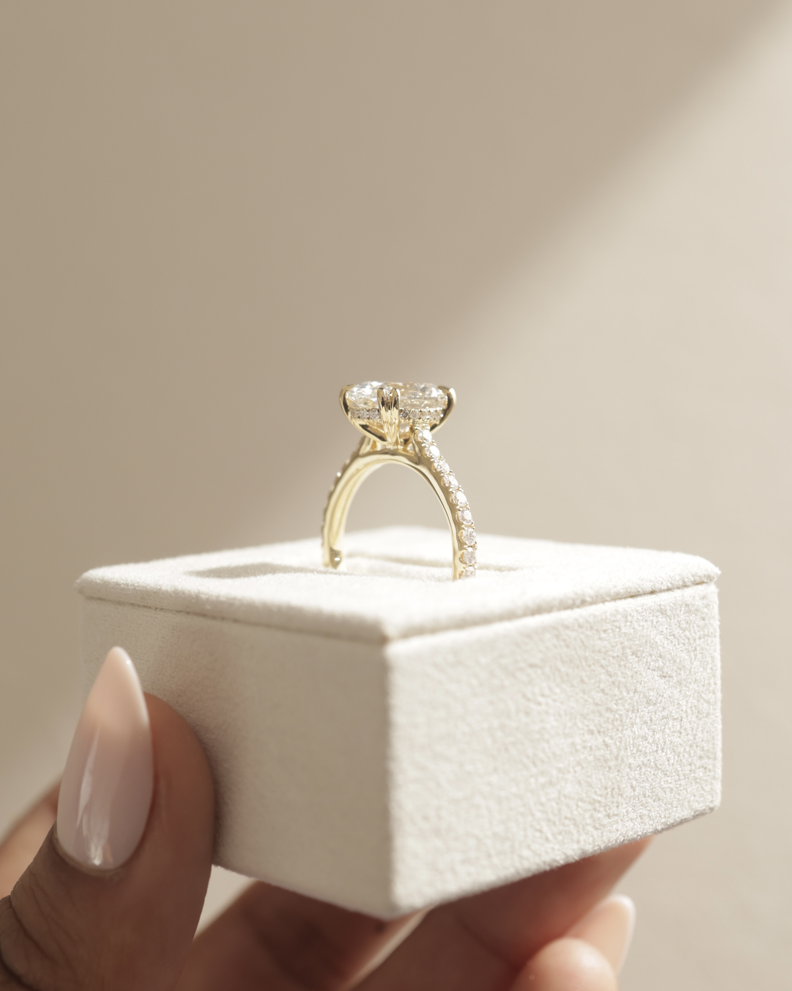 Sasha - Oval Solitaire with Double Tipped Claws and Pav Band Lifestyle Image