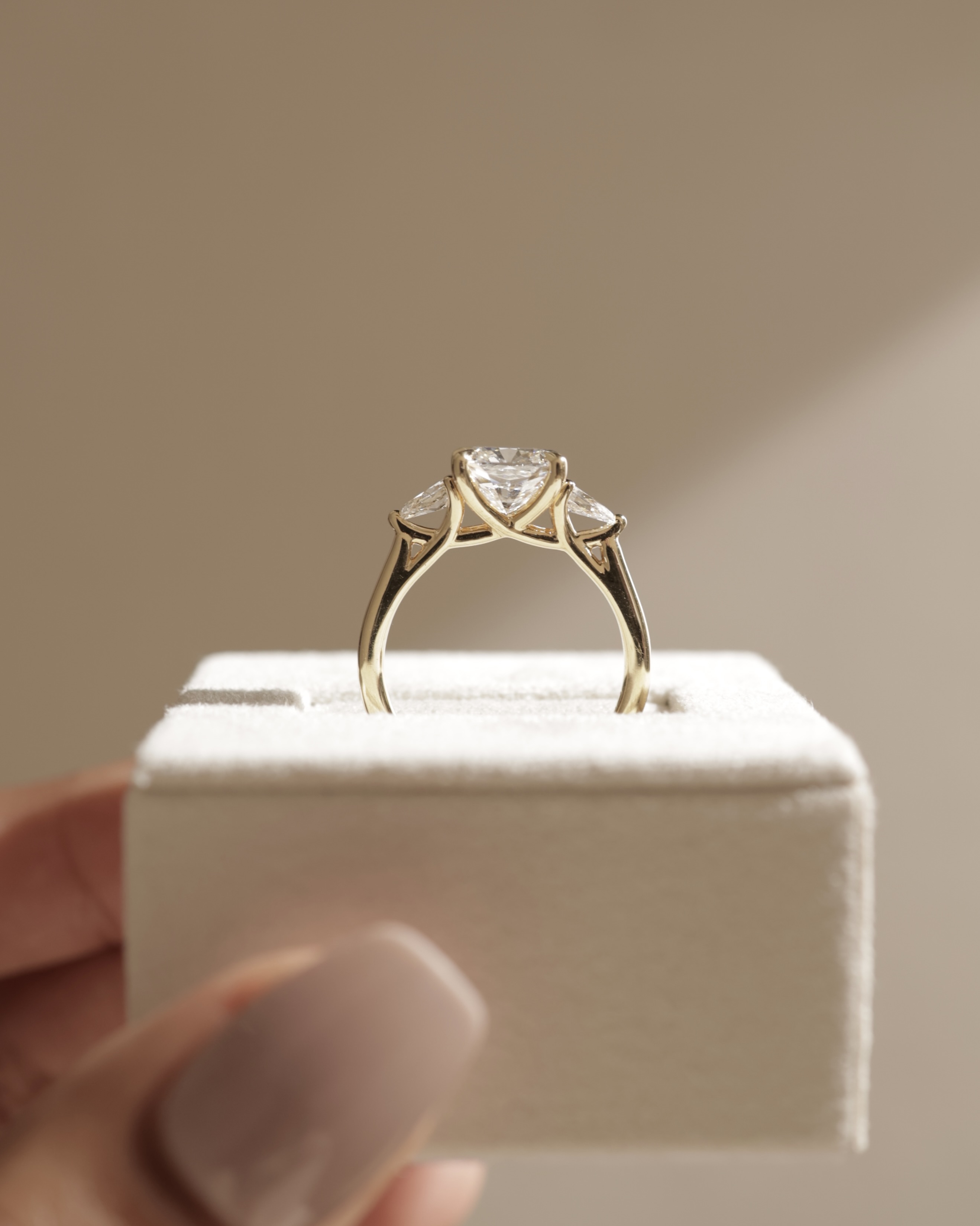 Selena - Trellis Set Cushion Trilogy Lifestyle Image