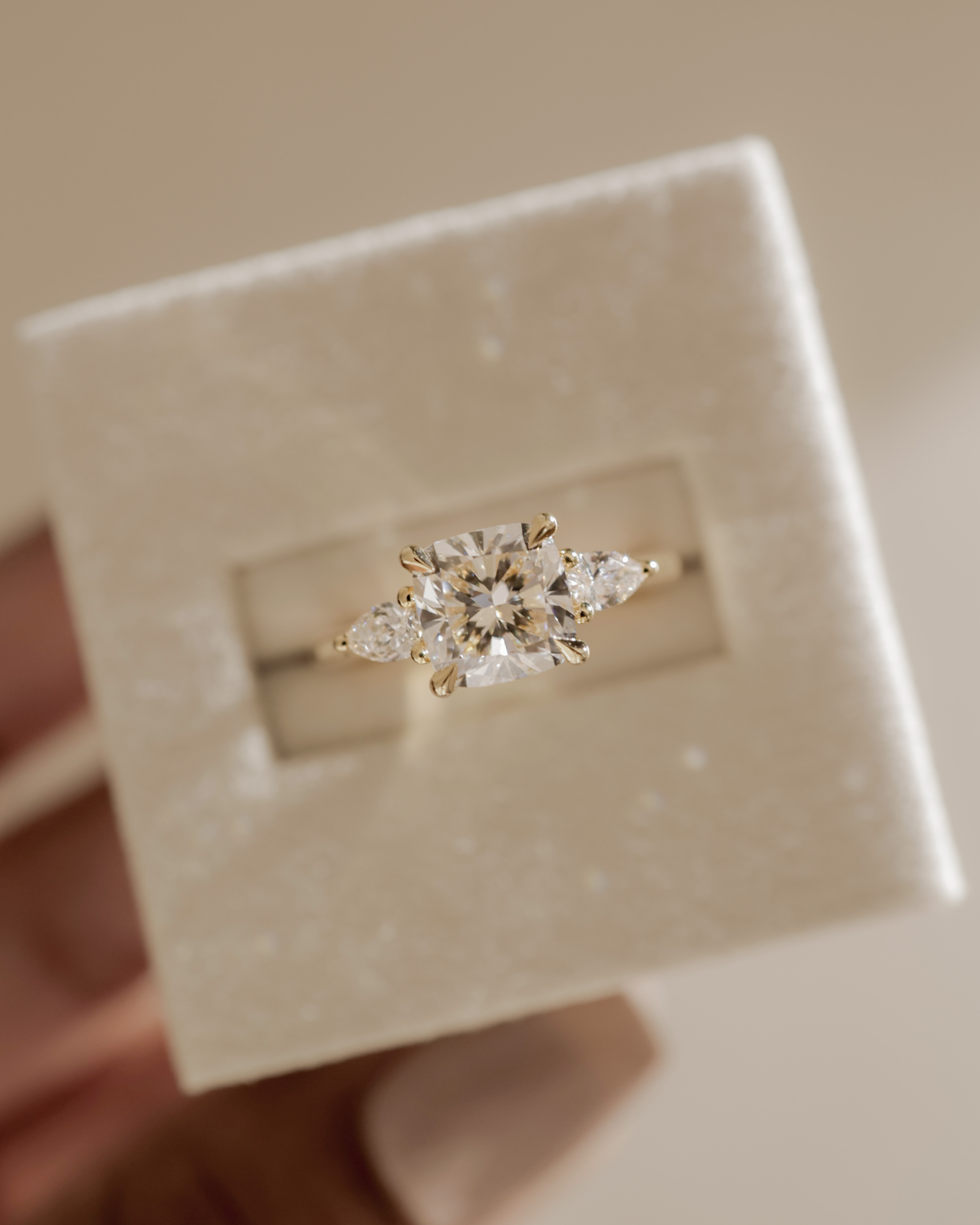 Selena - Trellis Set Cushion Trilogy Lifestyle Image