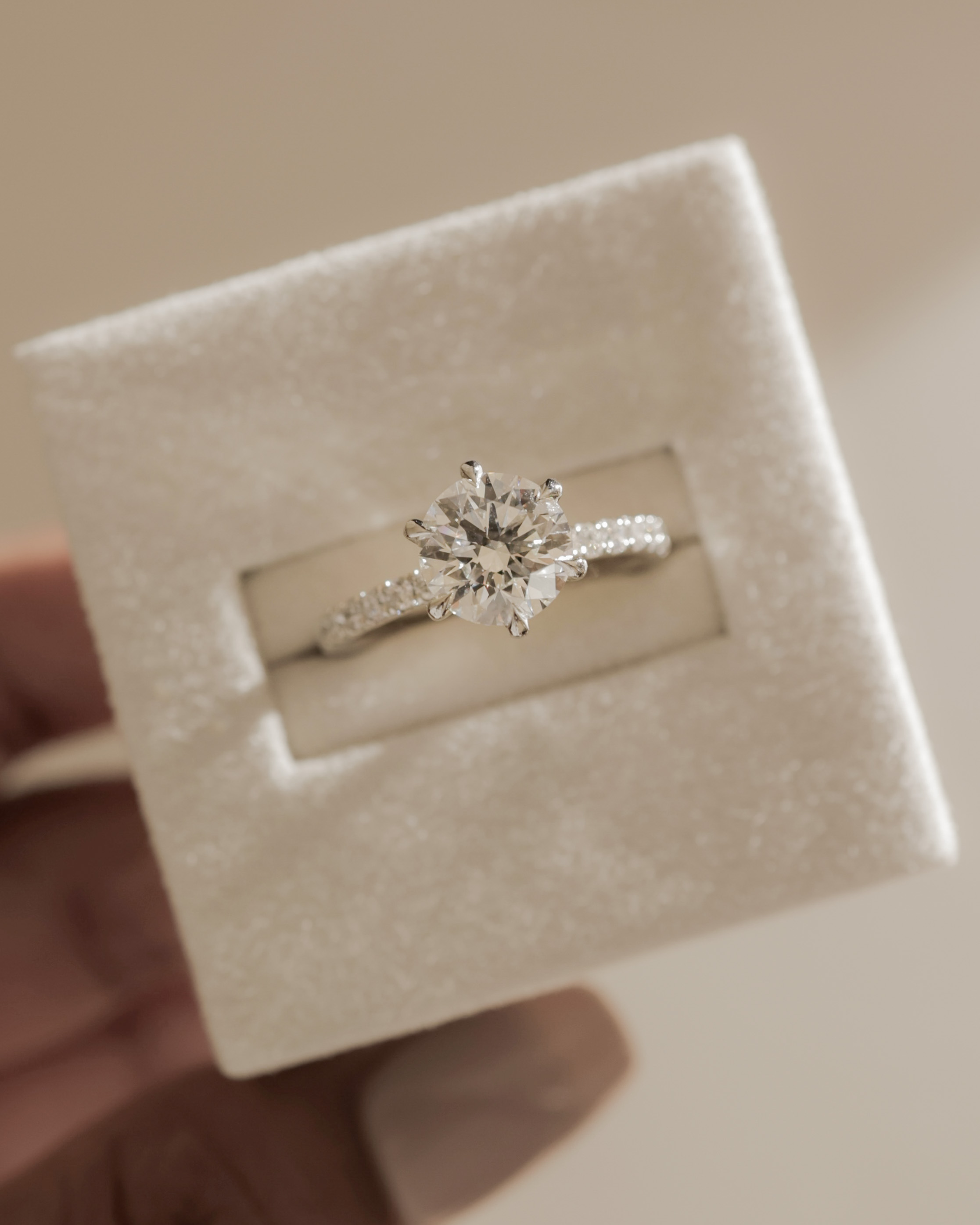 Siobhan - 6 Claw Round Solitaire with Hidden Halo and Collar Lifestyle Image