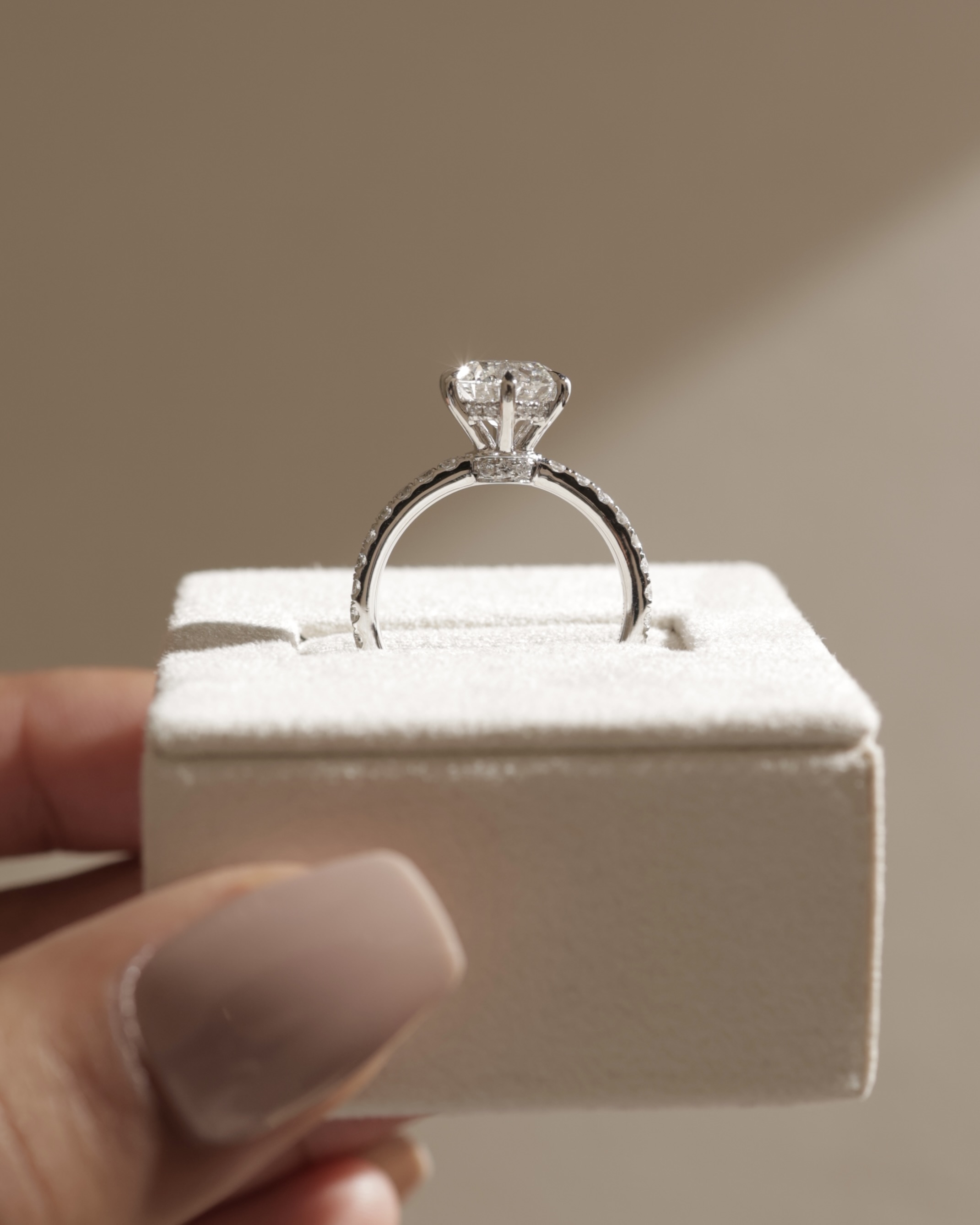 Siobhan - 6 Claw Round Solitaire with Hidden Halo and Collar Lifestyle Image