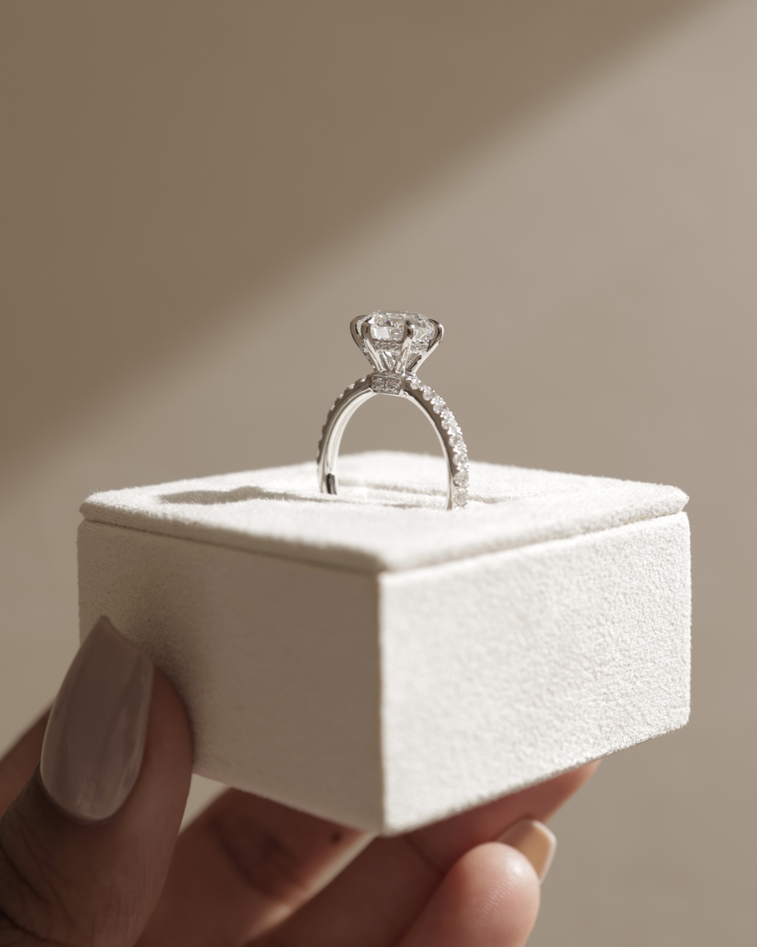 Siobhan - 6 Claw Round Solitaire with Hidden Halo and Collar Lifestyle Image