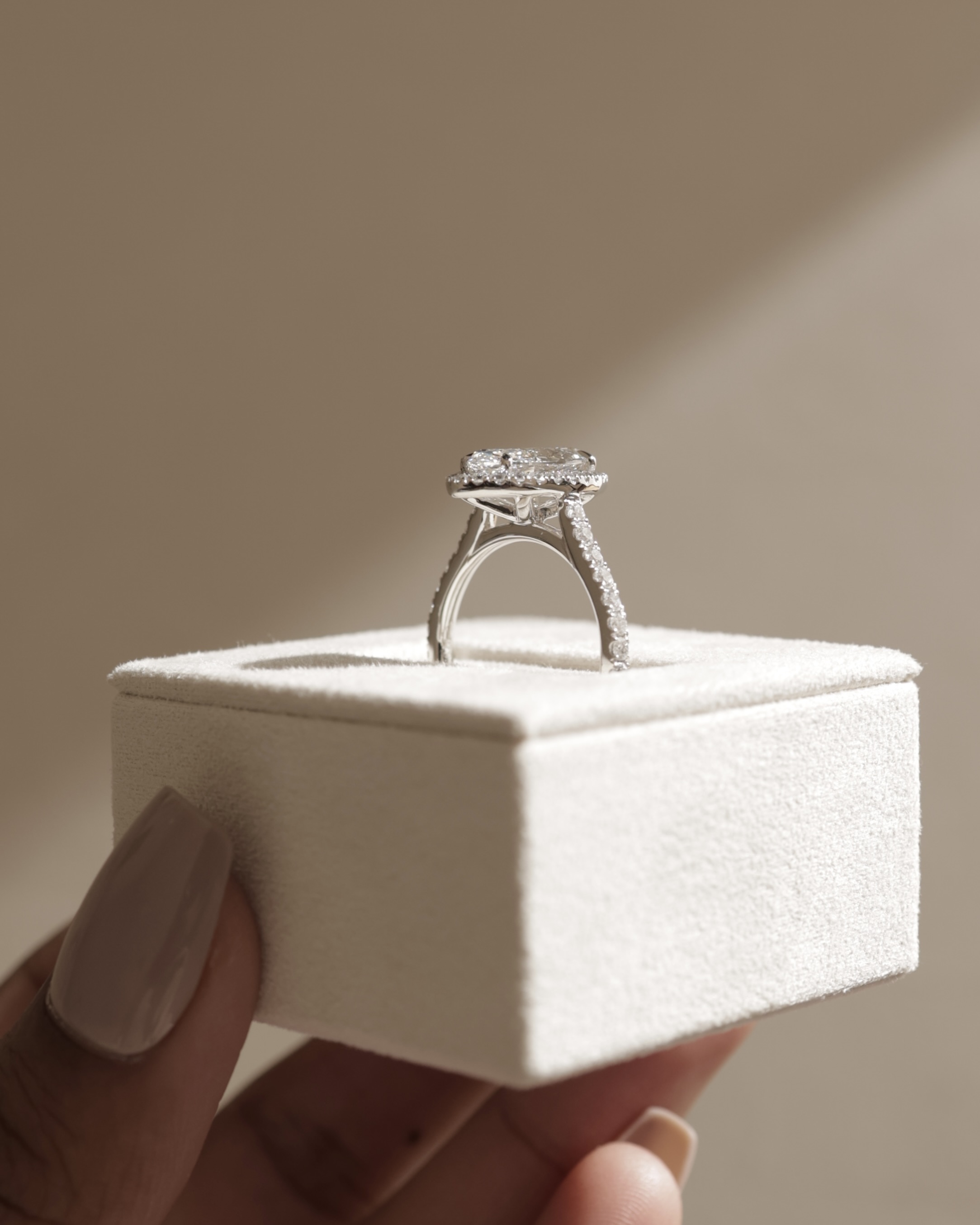 Stefania  Marquise Halo with Pave Lifestyle Image