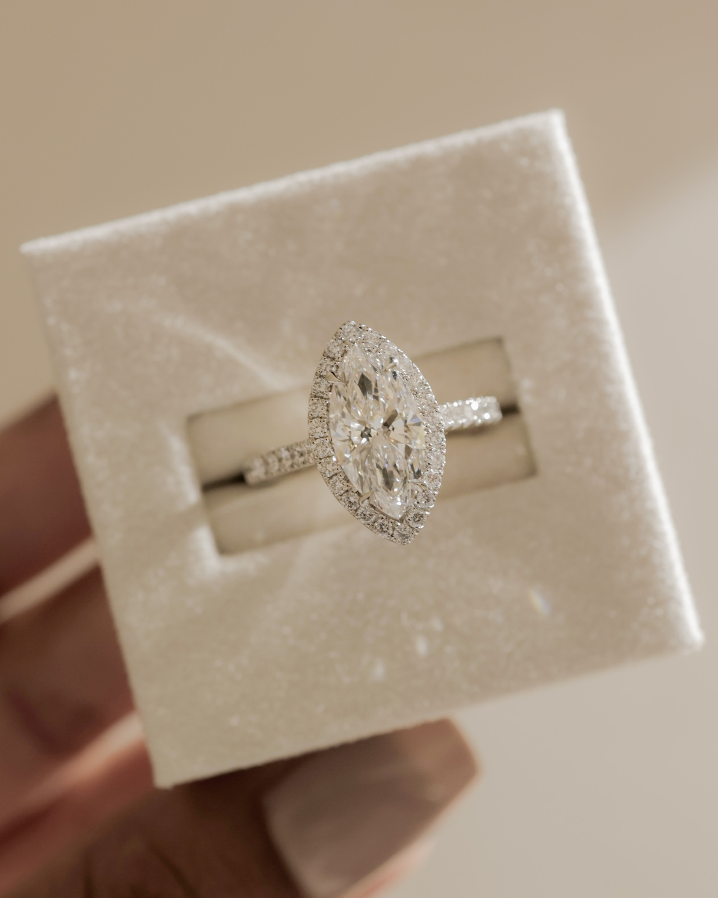 Stefania  Marquise Halo with Pave Lifestyle Image