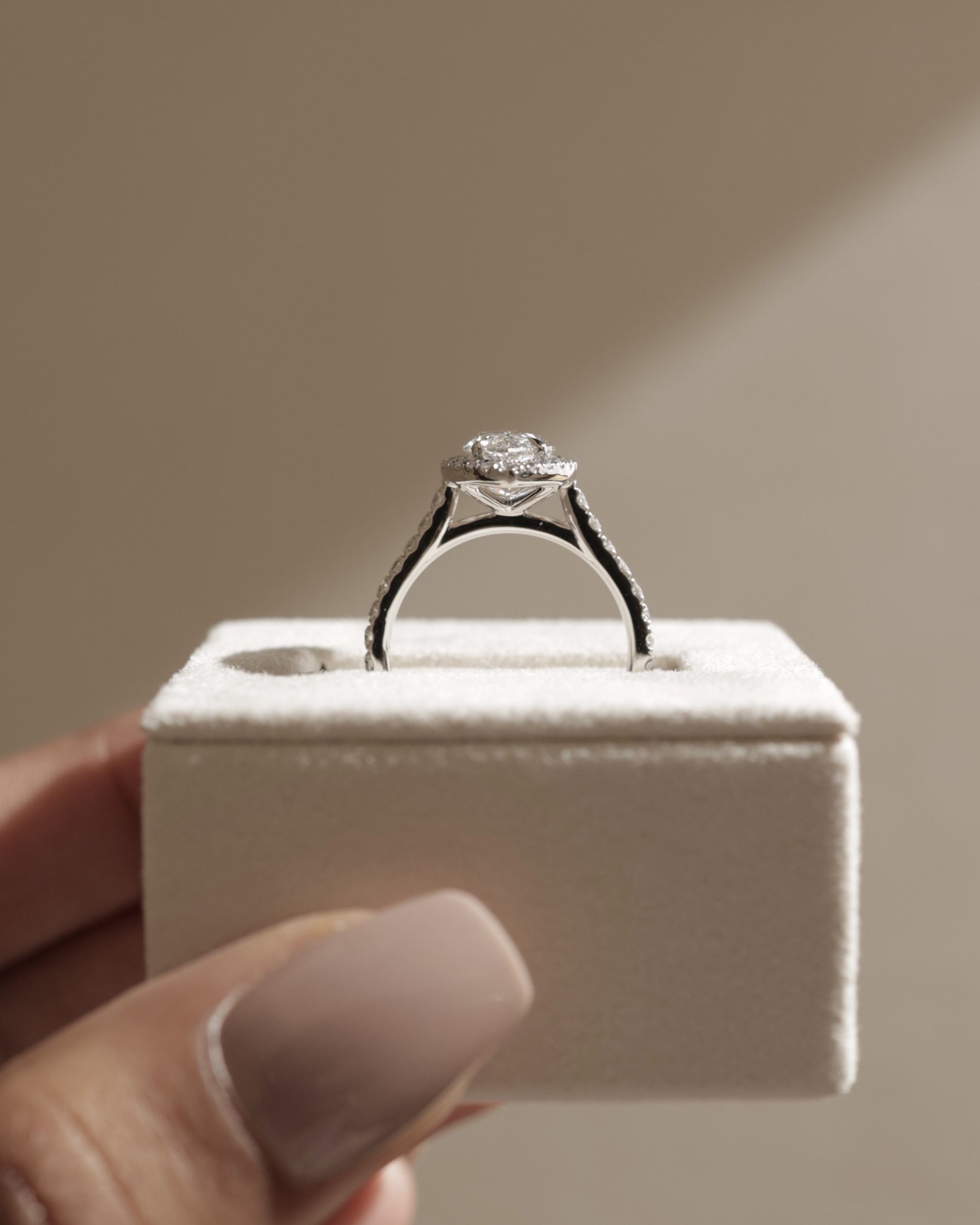 Stefania  Marquise Halo with Pave Lifestyle Image