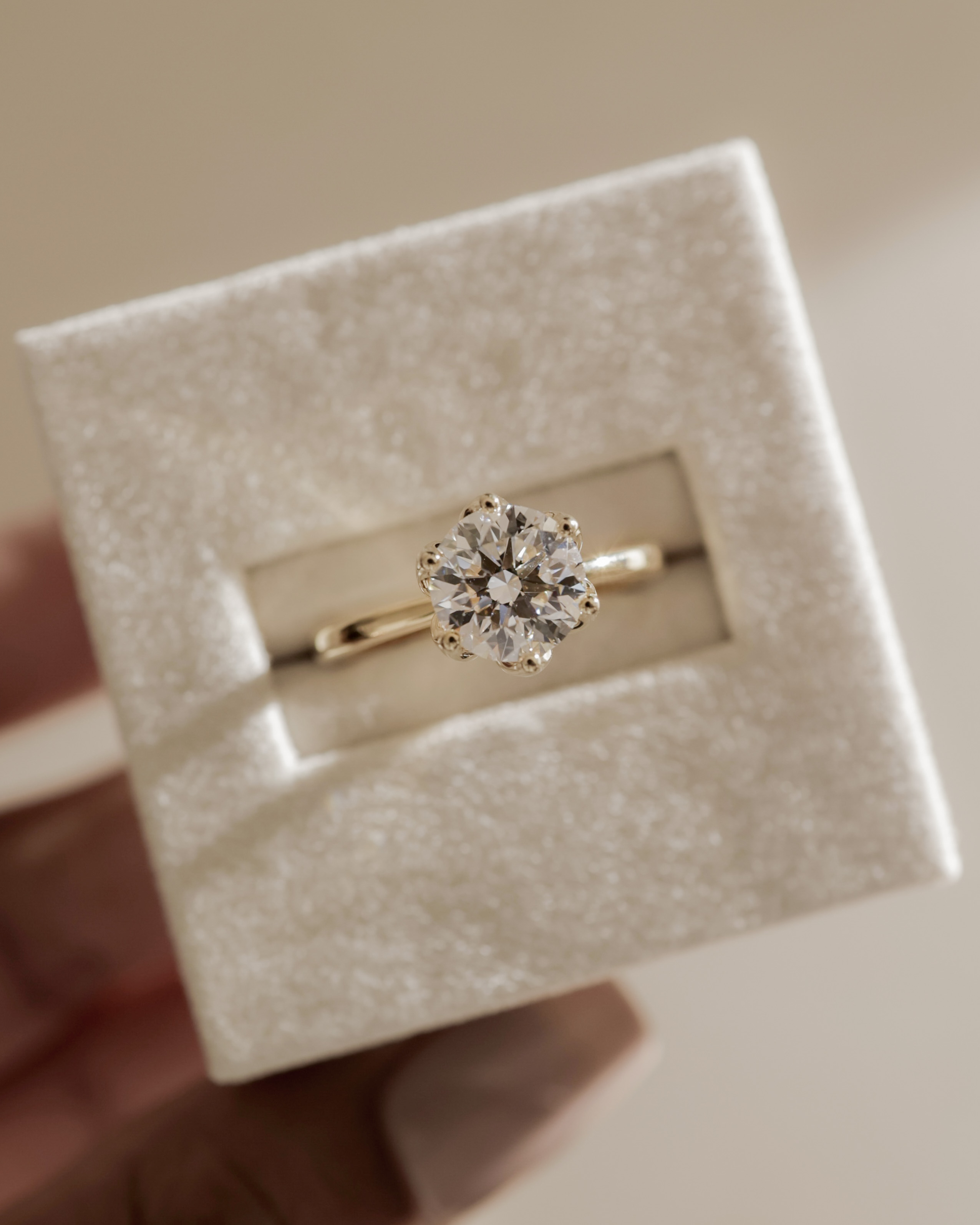 Tessa  Round Solitaire with Tulip Setting Lifestyle Image