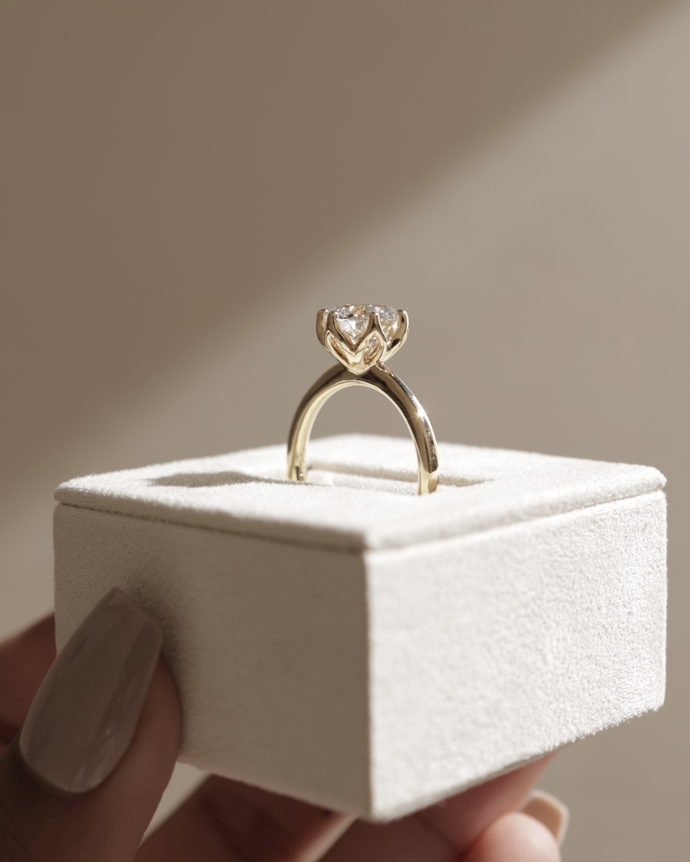 Tessa  Round Solitaire with Tulip Setting Lifestyle Image