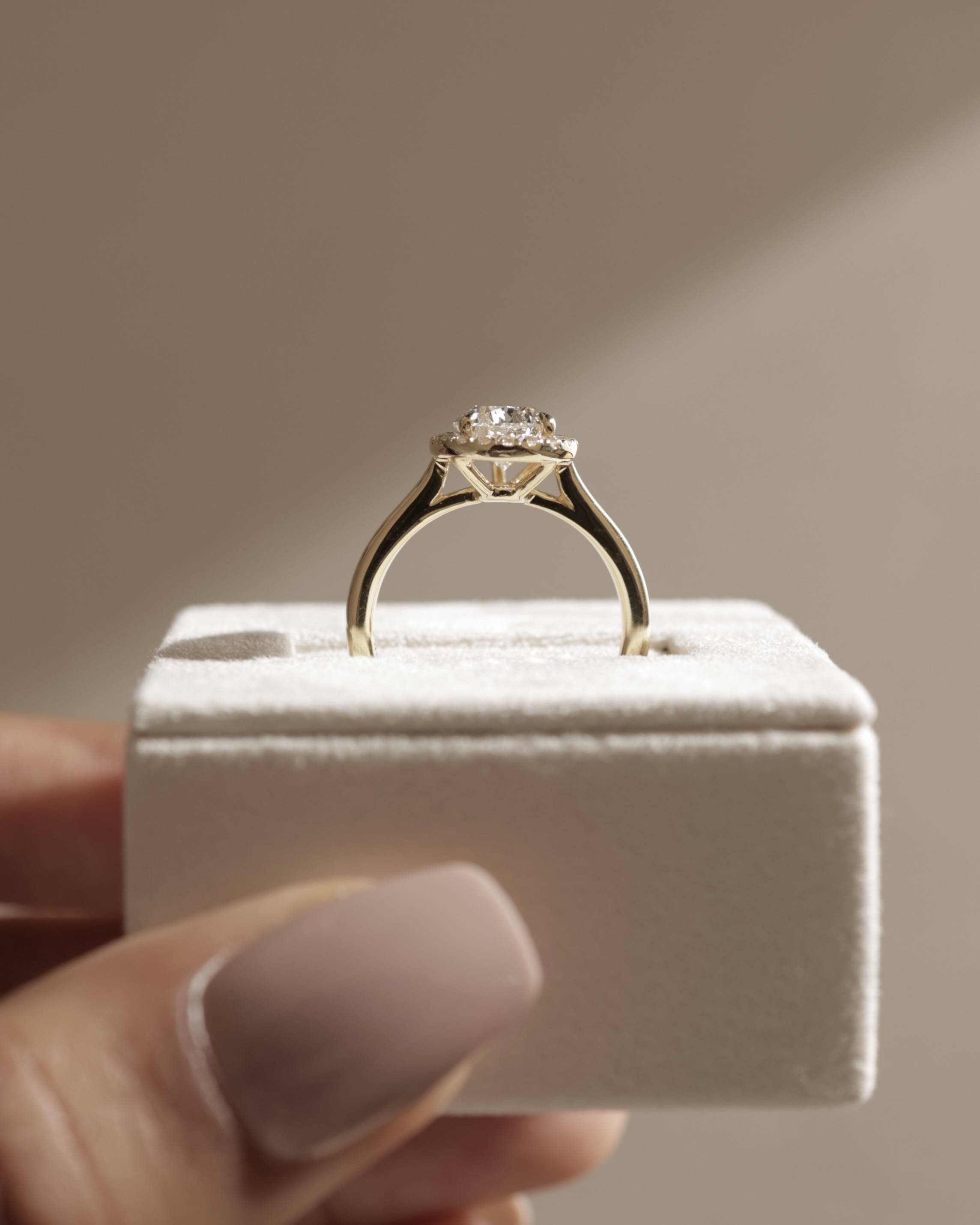 Viola  5 Claw Cathedral Pear Halo Lifestyle Image