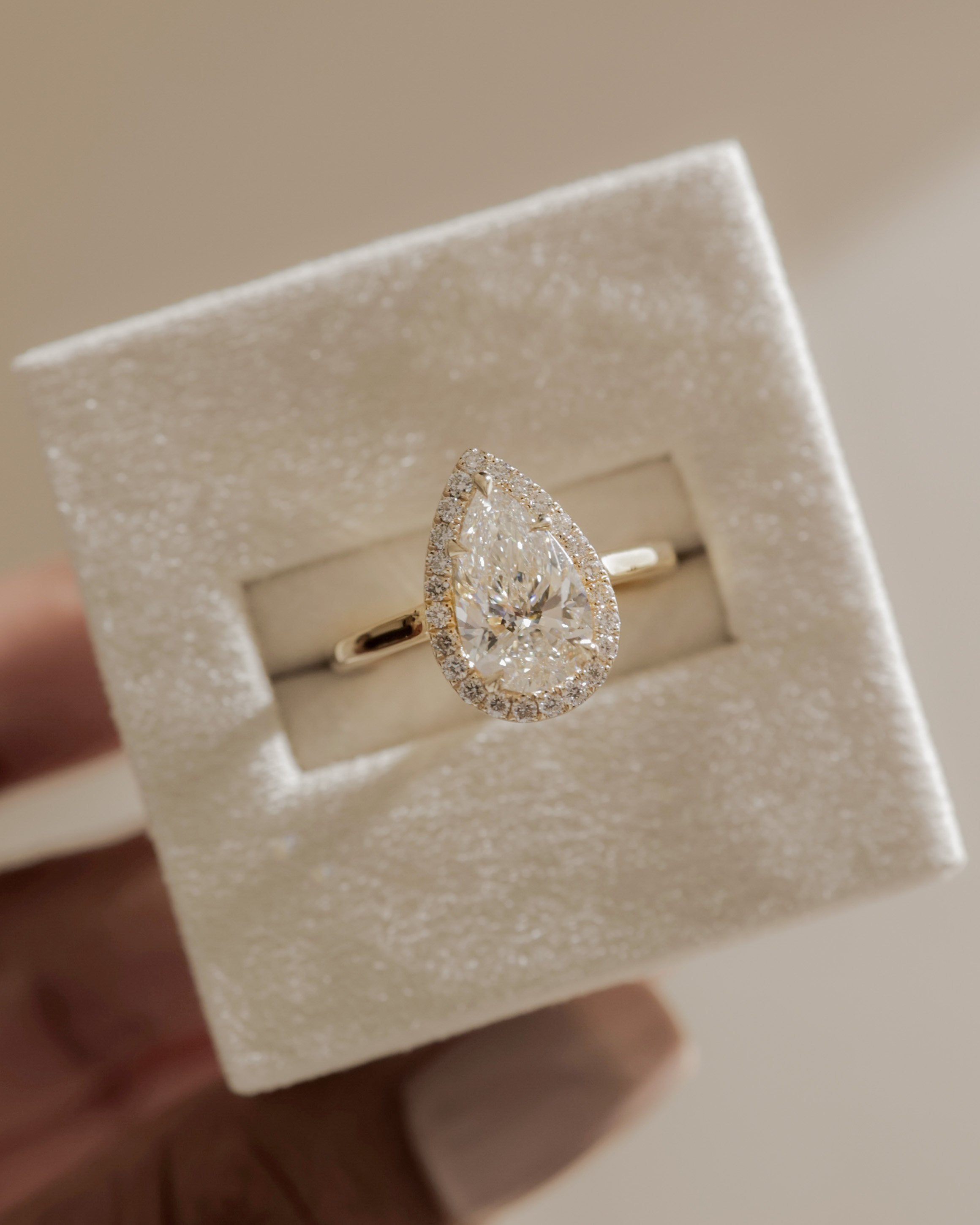 Viola  5 Claw Cathedral Pear Halo Lifestyle Image