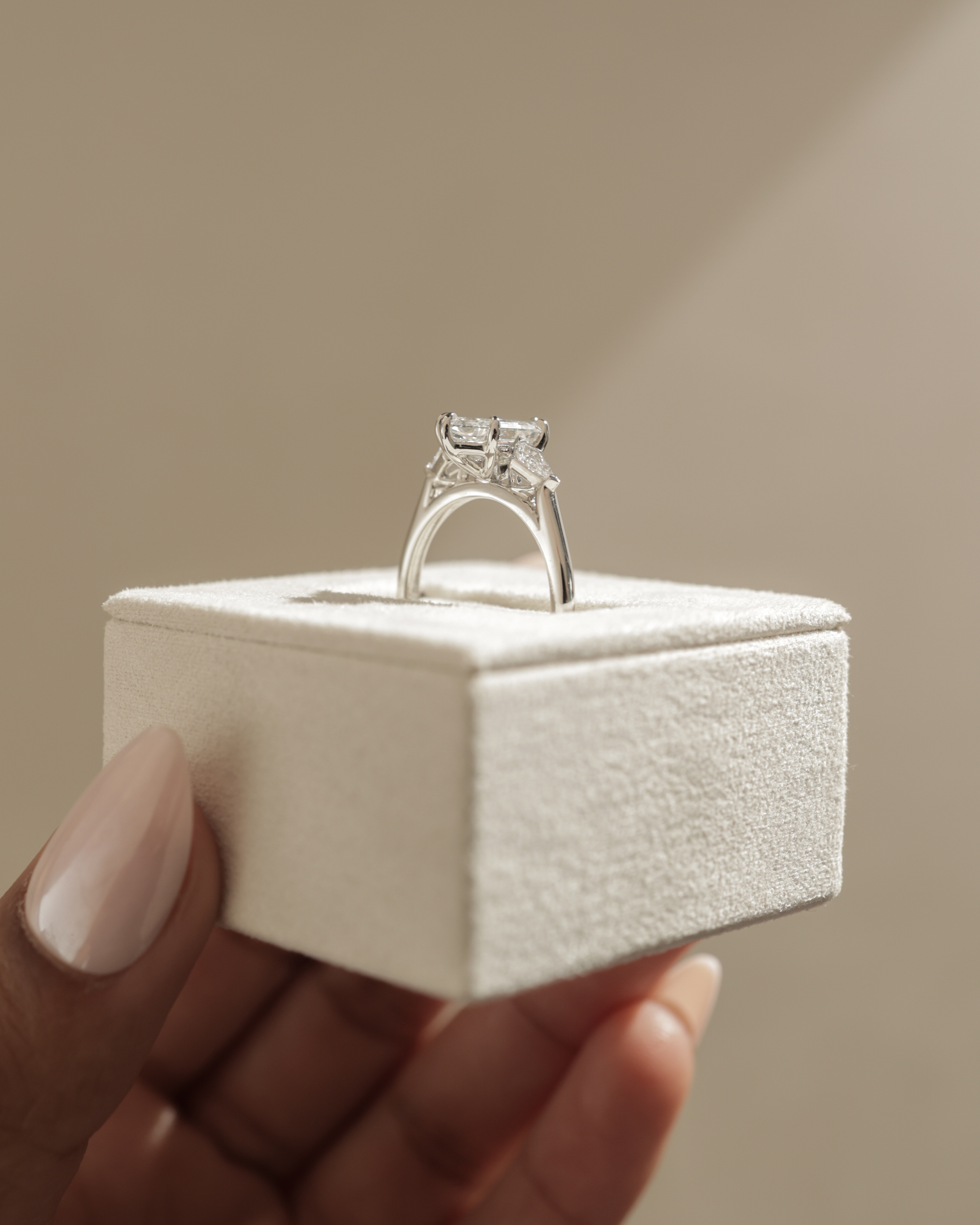 Wanda - 6 Claw Elongated Hexagon Trilogy Lifestyle Image