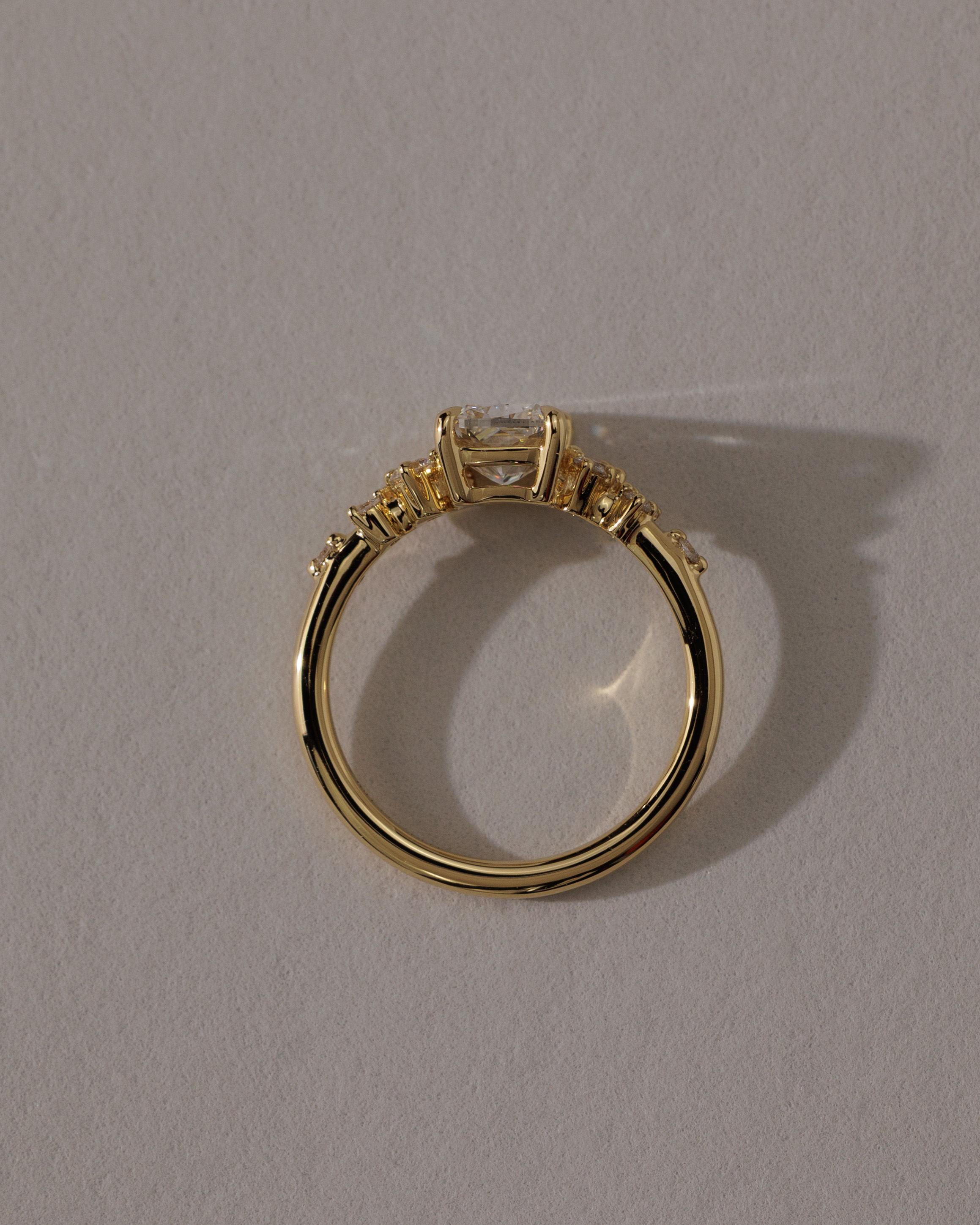 Winnie - Elongated Cushion with Accent Stones Lifestyle Image