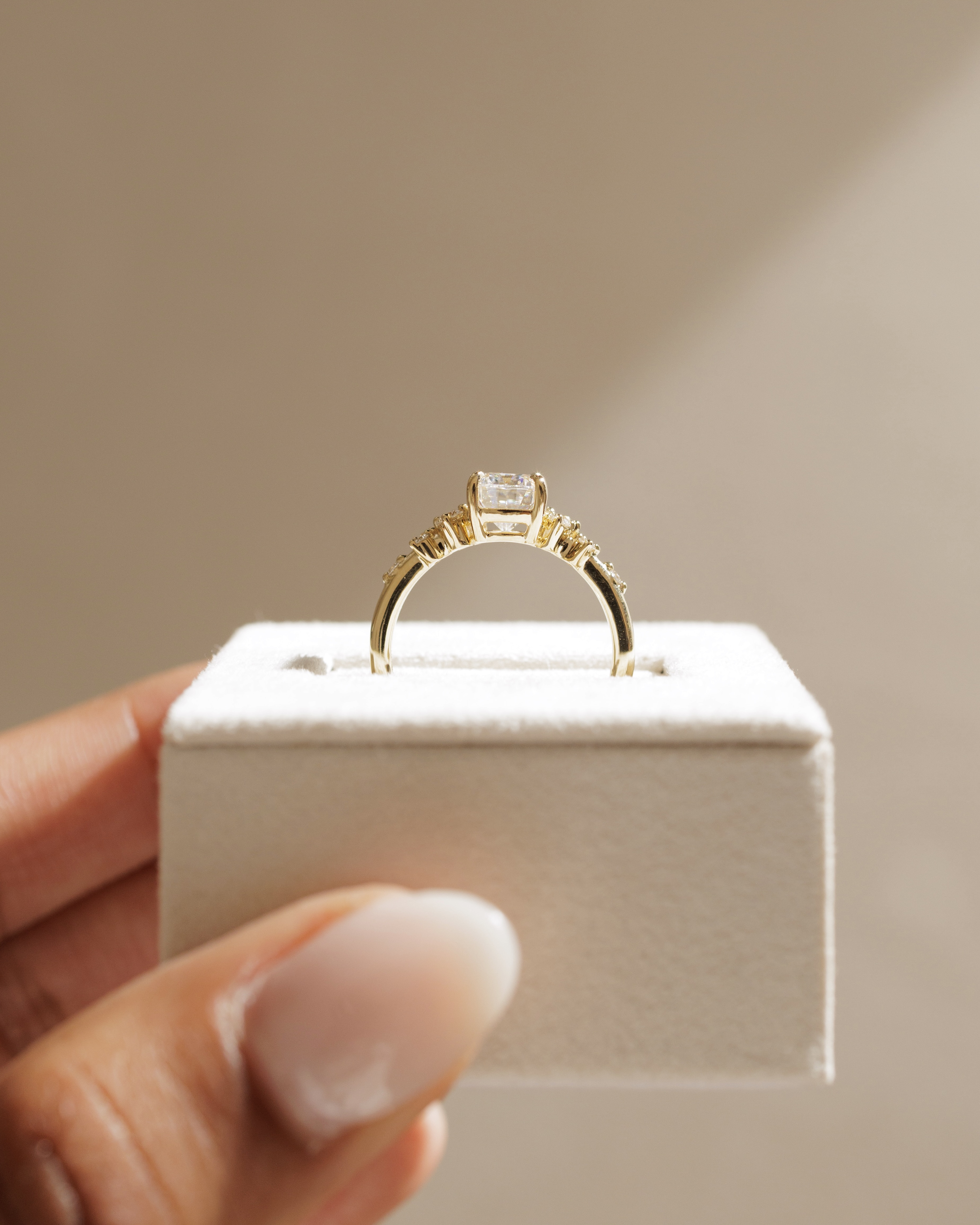 Winnie - Elongated Cushion with Accent Stones Lifestyle Image