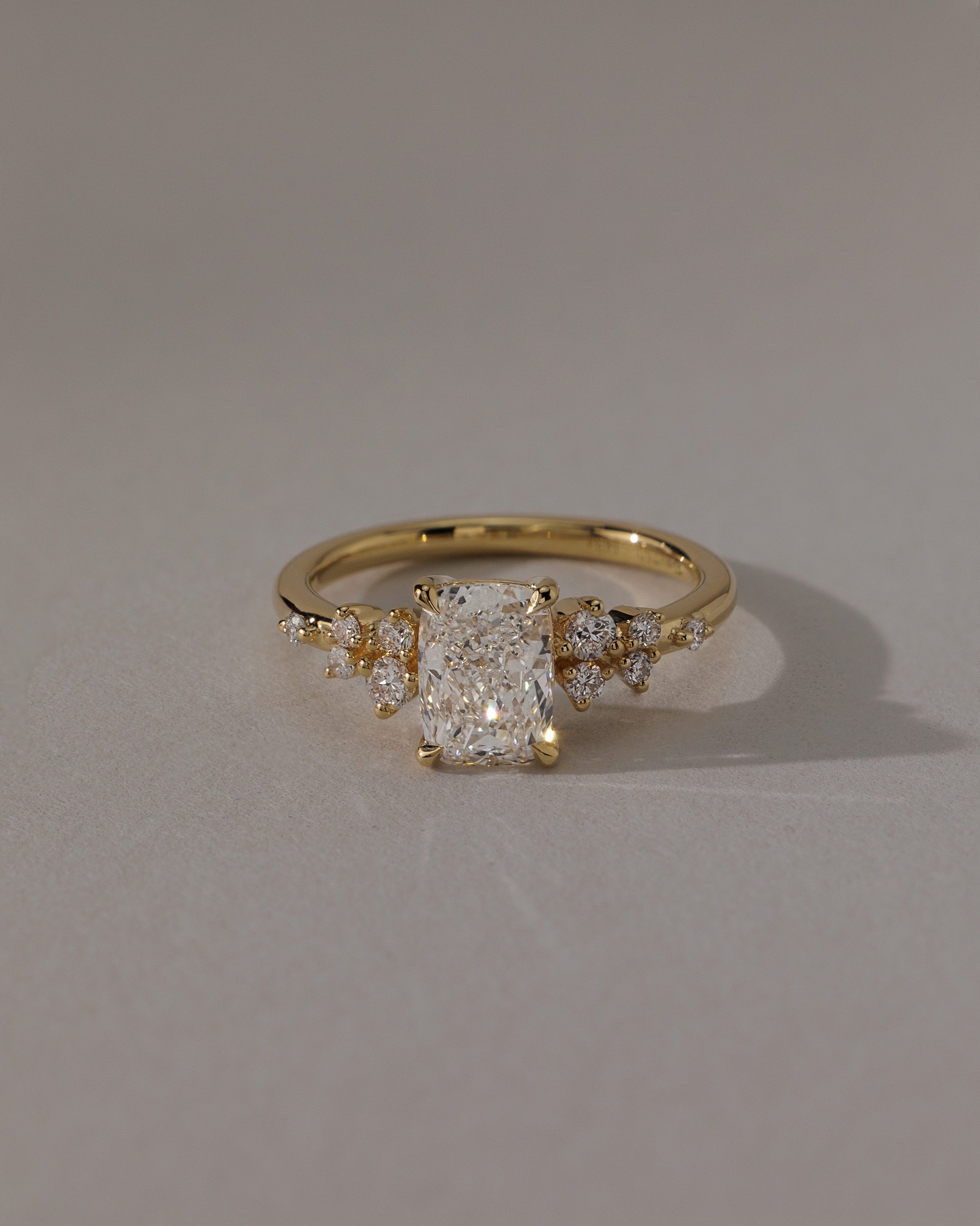 Winnie - Elongated Cushion with Accent Stones Lifestyle Image