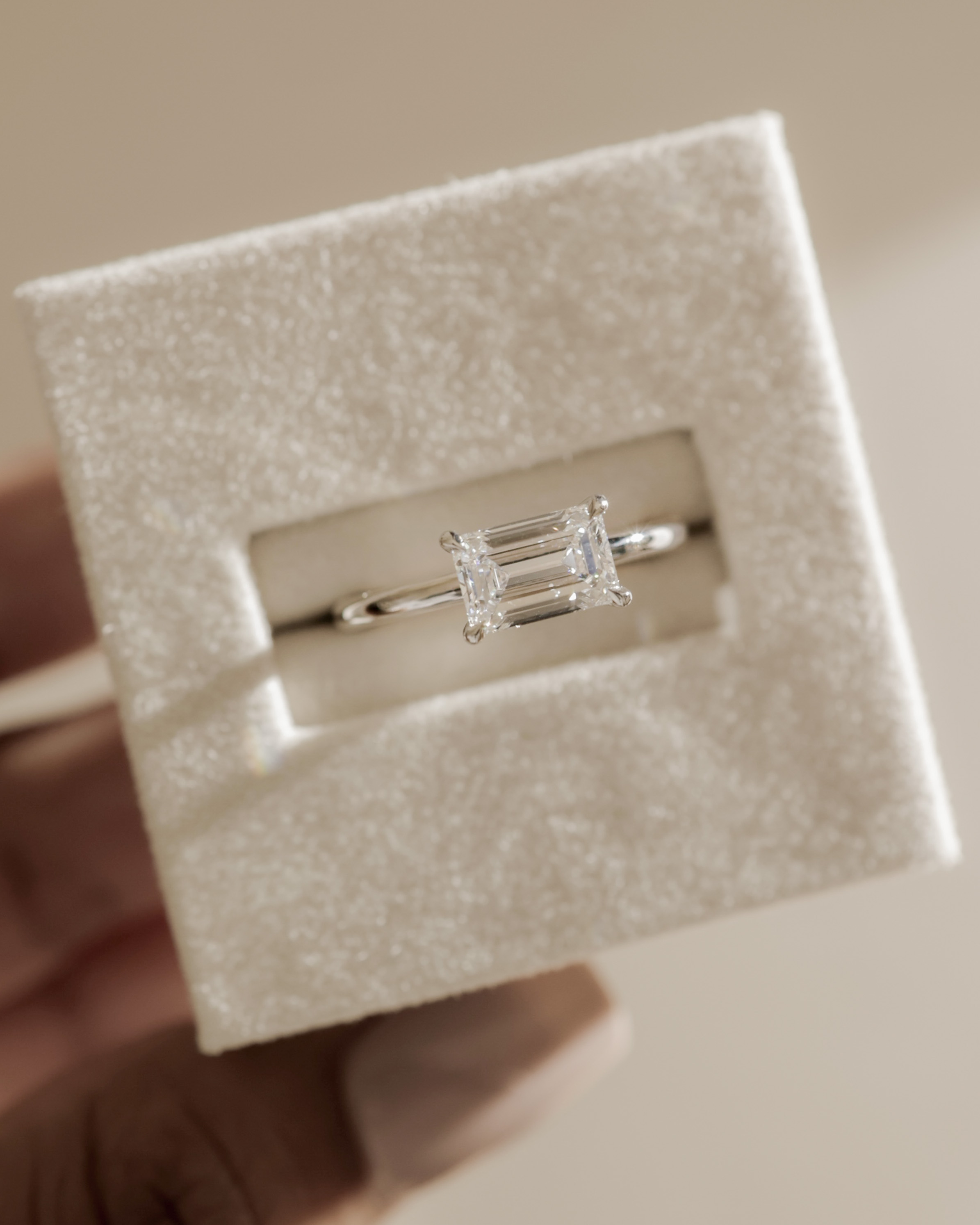 Zayla - 4 Claw East West Emerald with Hidden Halo Lifestyle Image