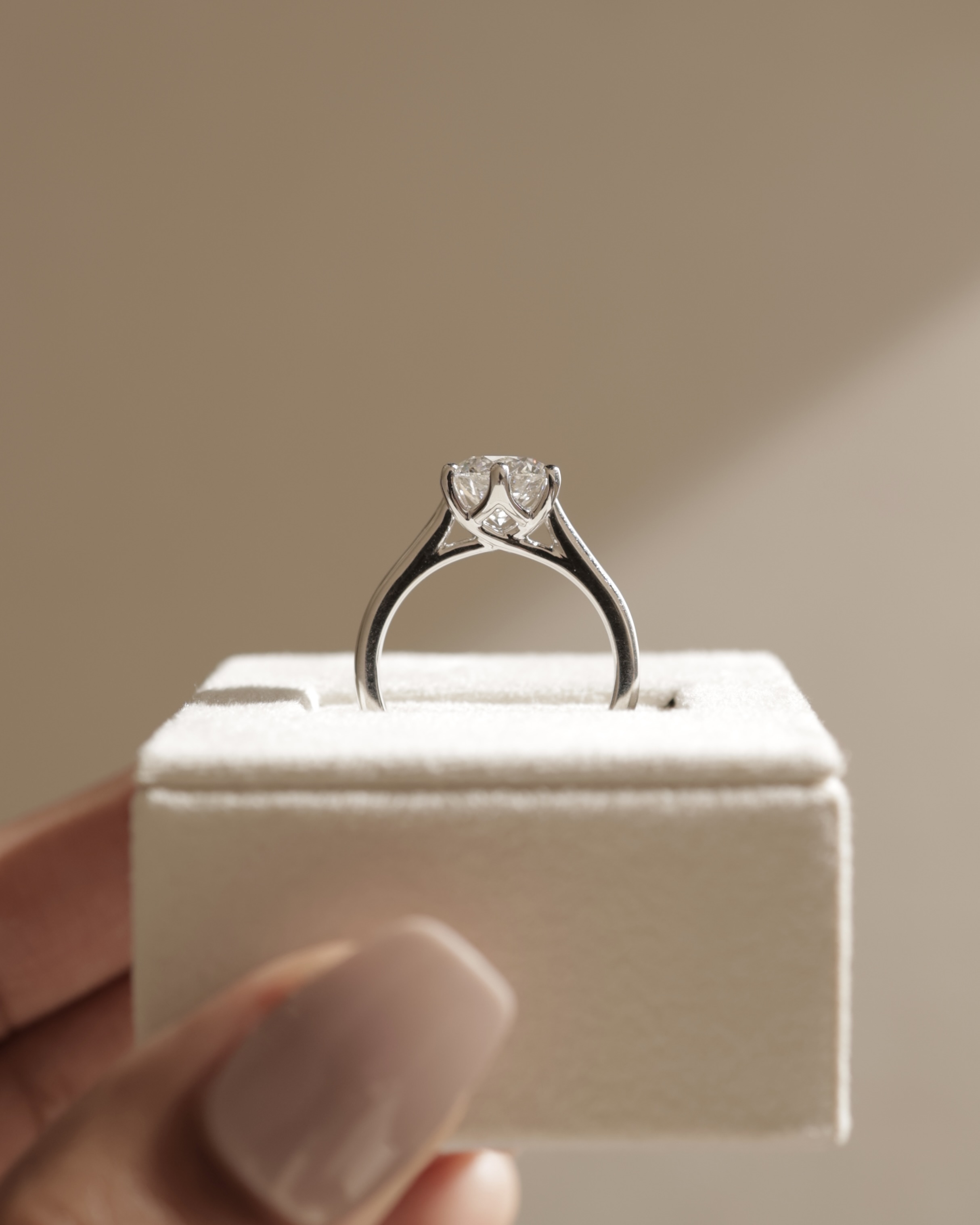 Zya - 6 Claw Cathedral Round Solitaire Lifestyle Image