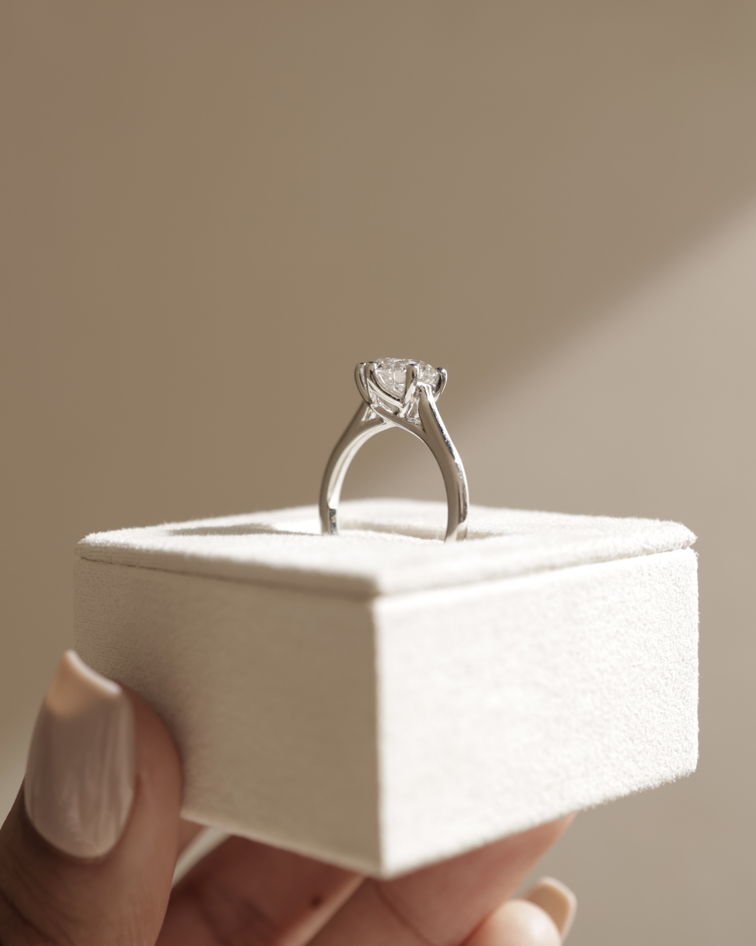 Zya - 6 Claw Cathedral Round Solitaire Lifestyle Image