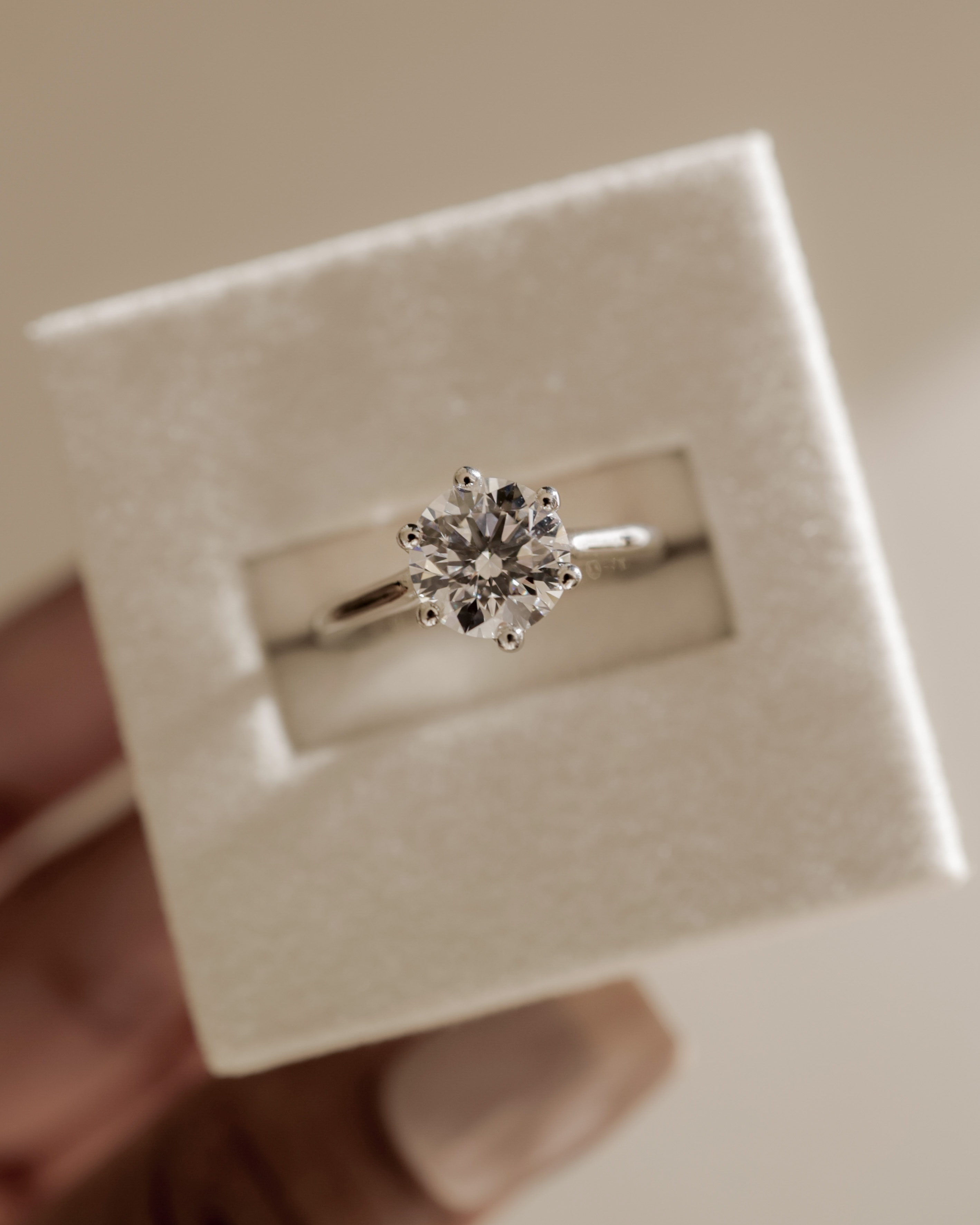 Zya - 6 Claw Cathedral Round Solitaire Lifestyle Image